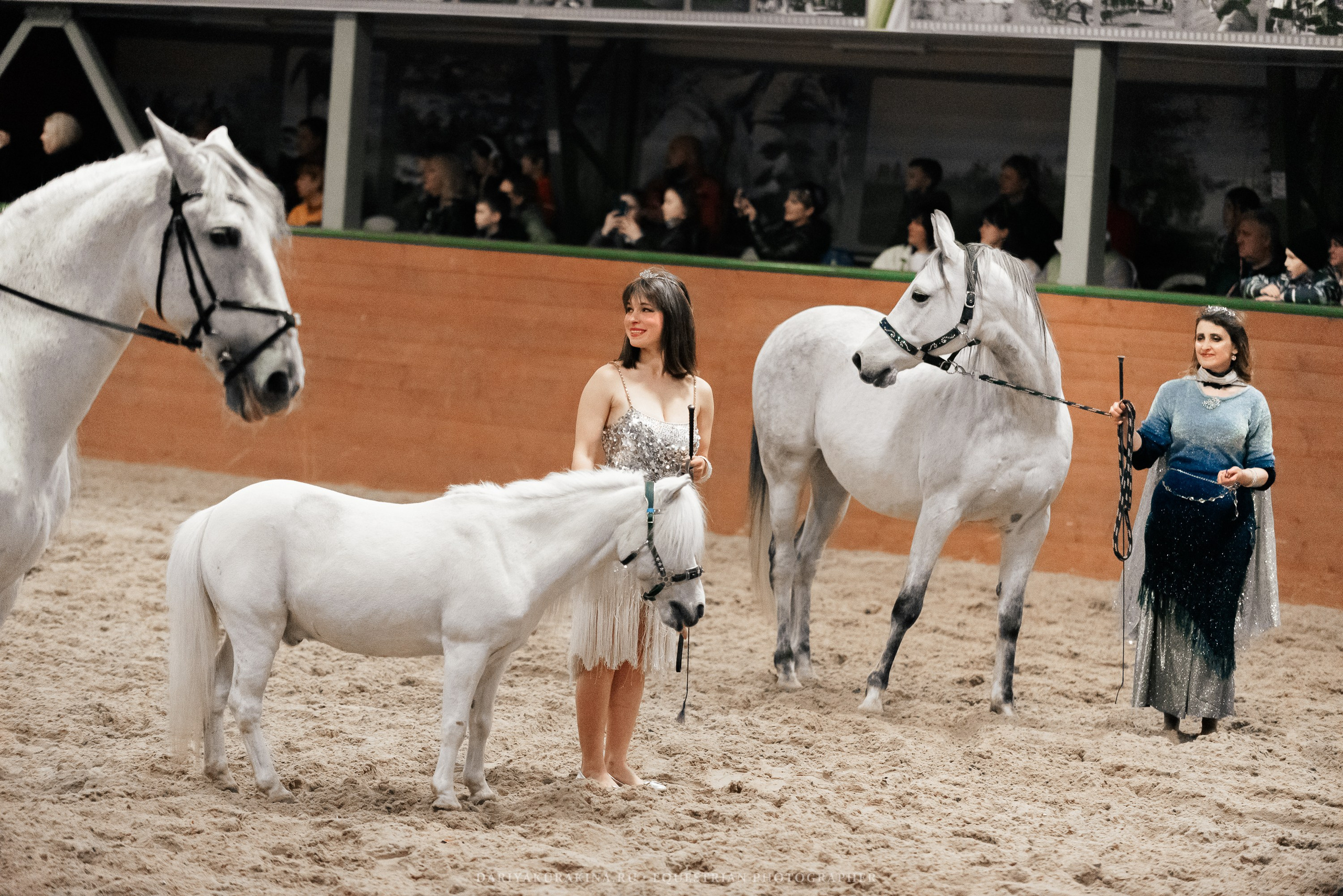 Конное представление «Дыхание Звёзд». Конный фотограф Куракина Дарья • Фотосессии с лошадьми