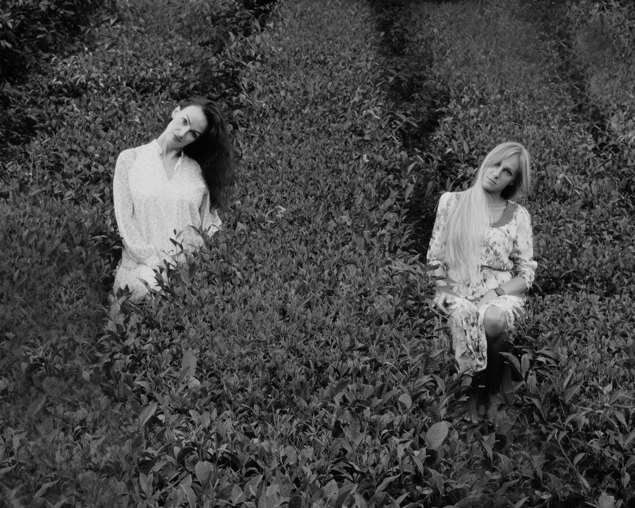 ЧАЙНЫЕ ФАНТАЗИИ. Меня зовут ОЛЬГА. Я ПЕРСОНАЛЬНЫЙ ФОТОГРАФ, МОСКВА