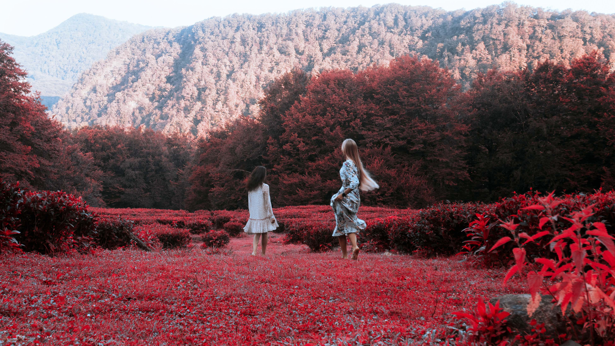 ЧАЙНЫЕ ФАНТАЗИИ. Меня зовут ОЛЬГА. Я ПЕРСОНАЛЬНЫЙ ФОТОГРАФ, МОСКВА