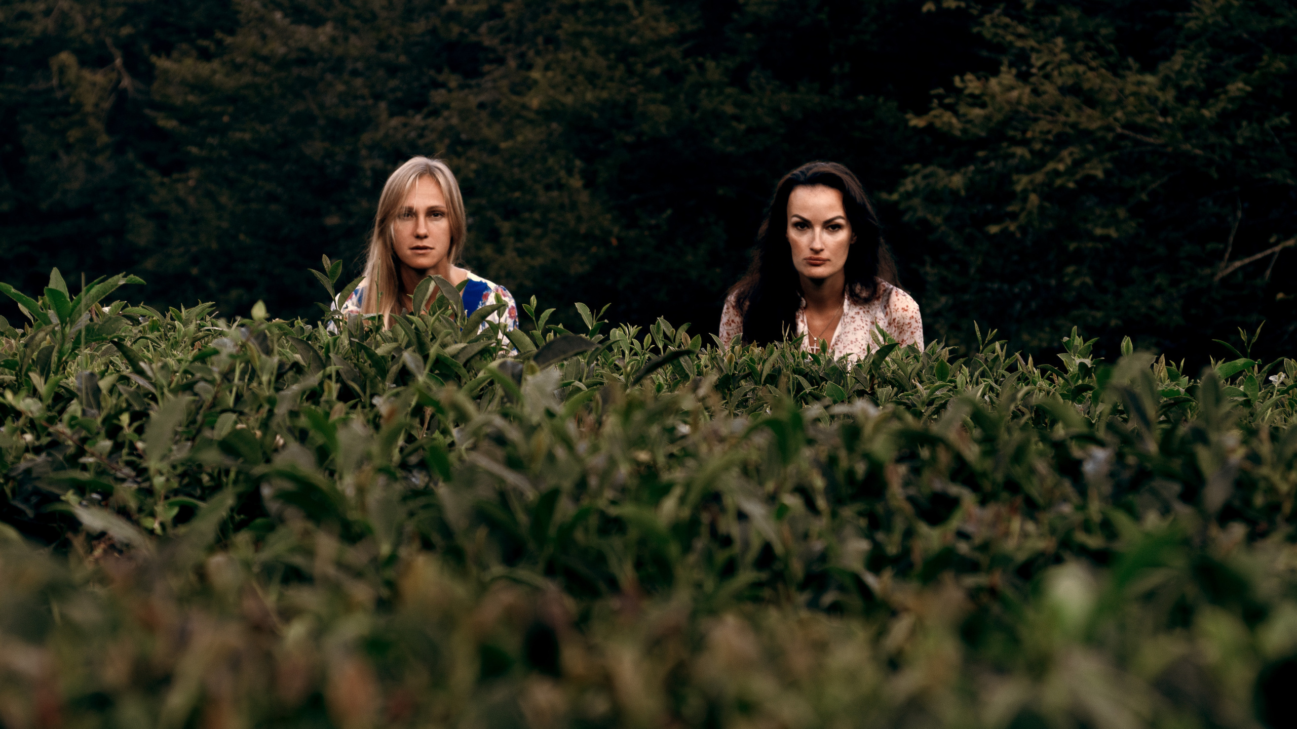 ЧАЙНЫЕ ФАНТАЗИИ. Меня зовут ОЛЬГА. Я ПЕРСОНАЛЬНЫЙ ФОТОГРАФ, МОСКВА