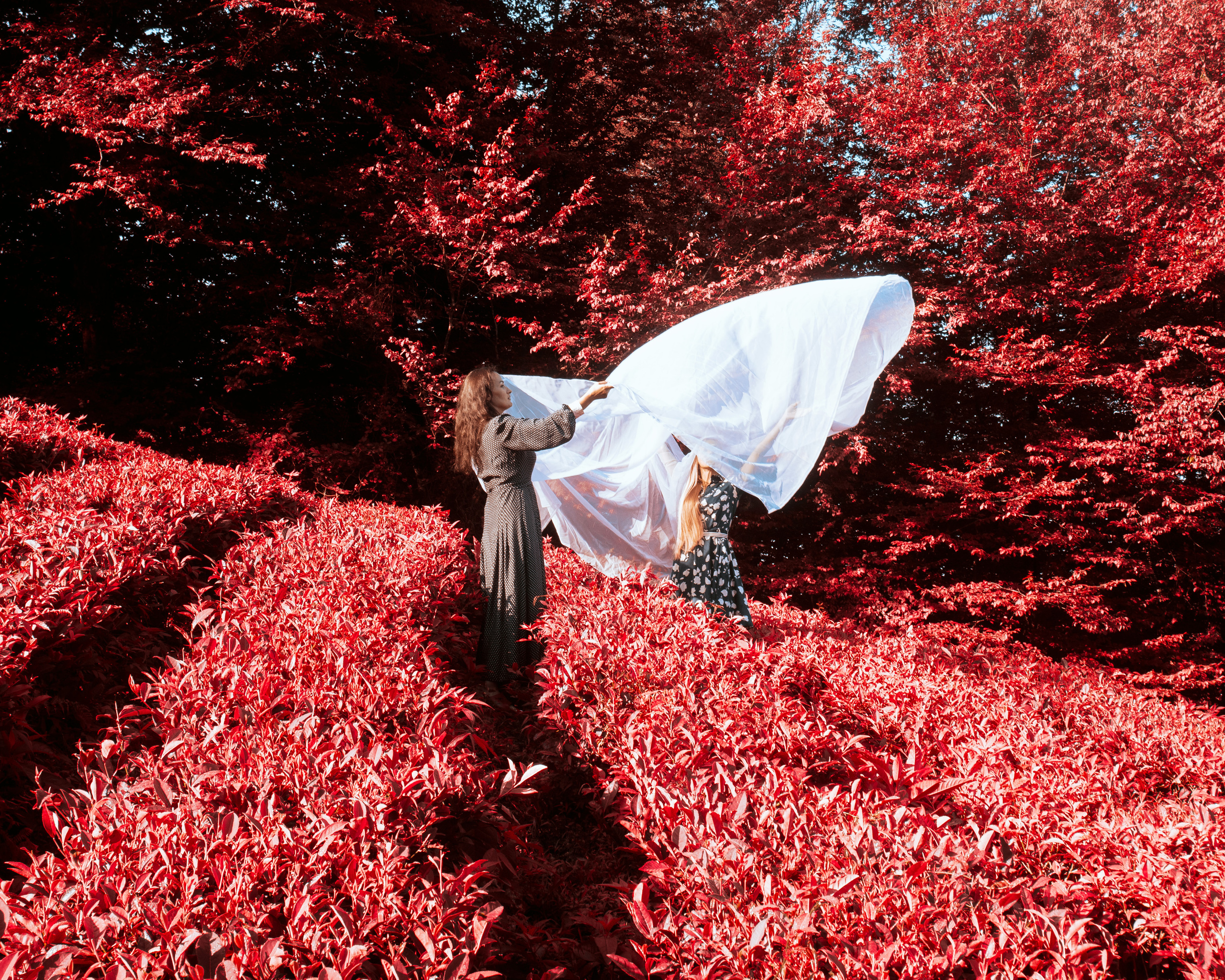 ЧАЙНЫЕ ФАНТАЗИИ. Меня зовут ОЛЬГА. Я ПЕРСОНАЛЬНЫЙ ФОТОГРАФ, МОСКВА