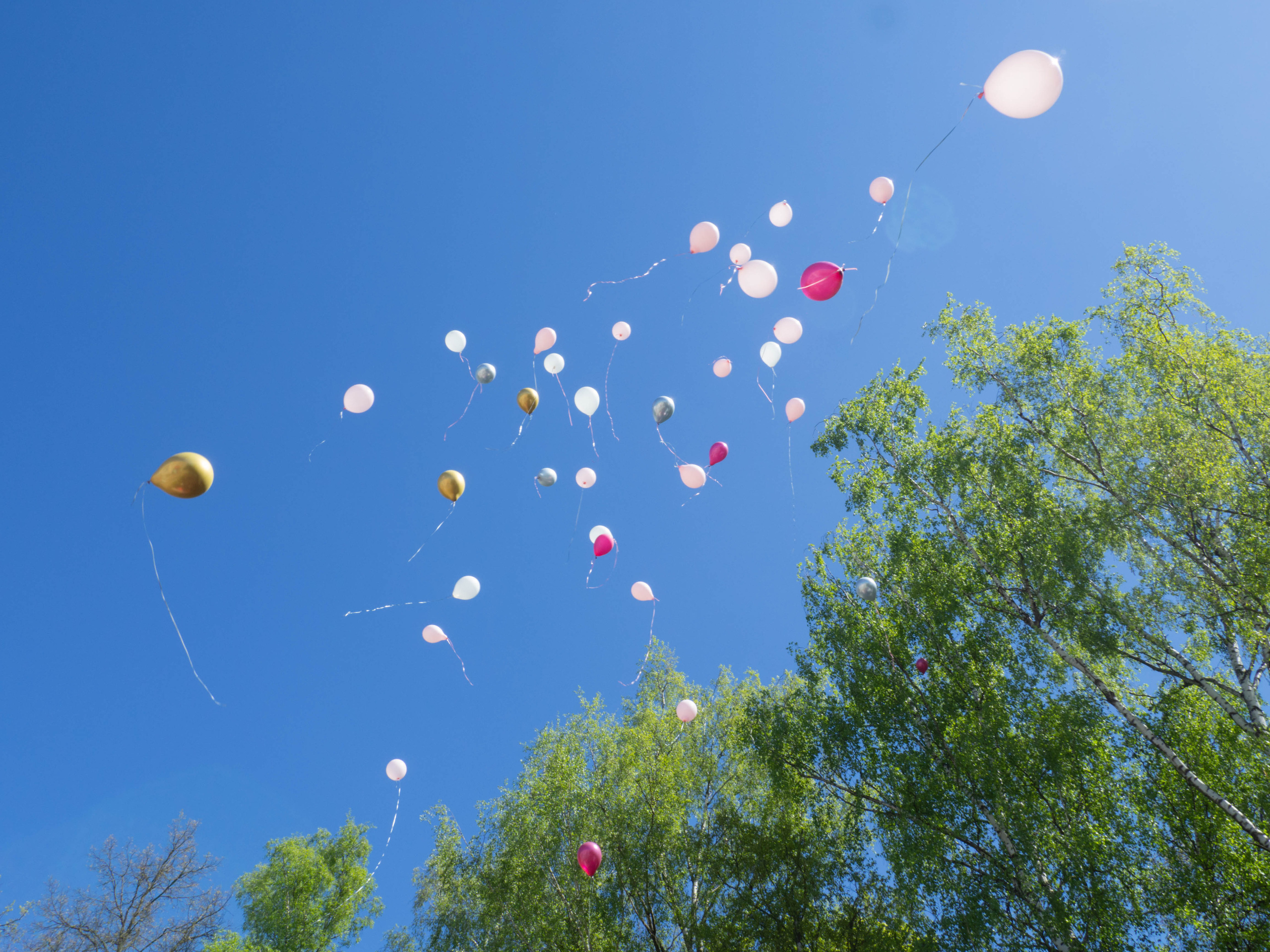 ШКОЛЫ & ДЕТСКИЕ САДЫ. Меня зовут ОЛЬГА. Я ПЕРСОНАЛЬНЫЙ ФОТОГРАФ, МОСКВА