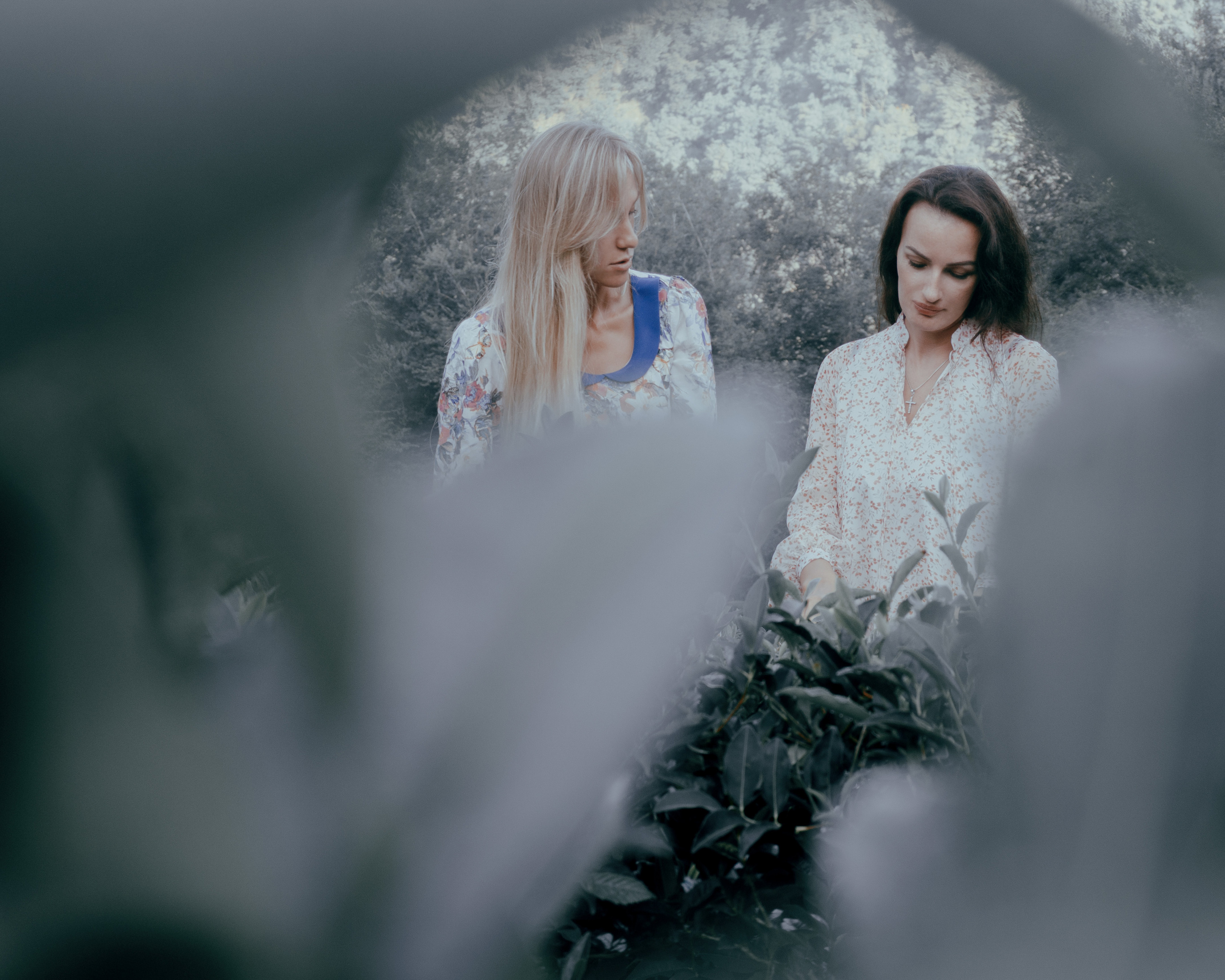 ЧАЙНЫЕ ФАНТАЗИИ. Меня зовут ОЛЬГА. Я ПЕРСОНАЛЬНЫЙ ФОТОГРАФ, МОСКВА