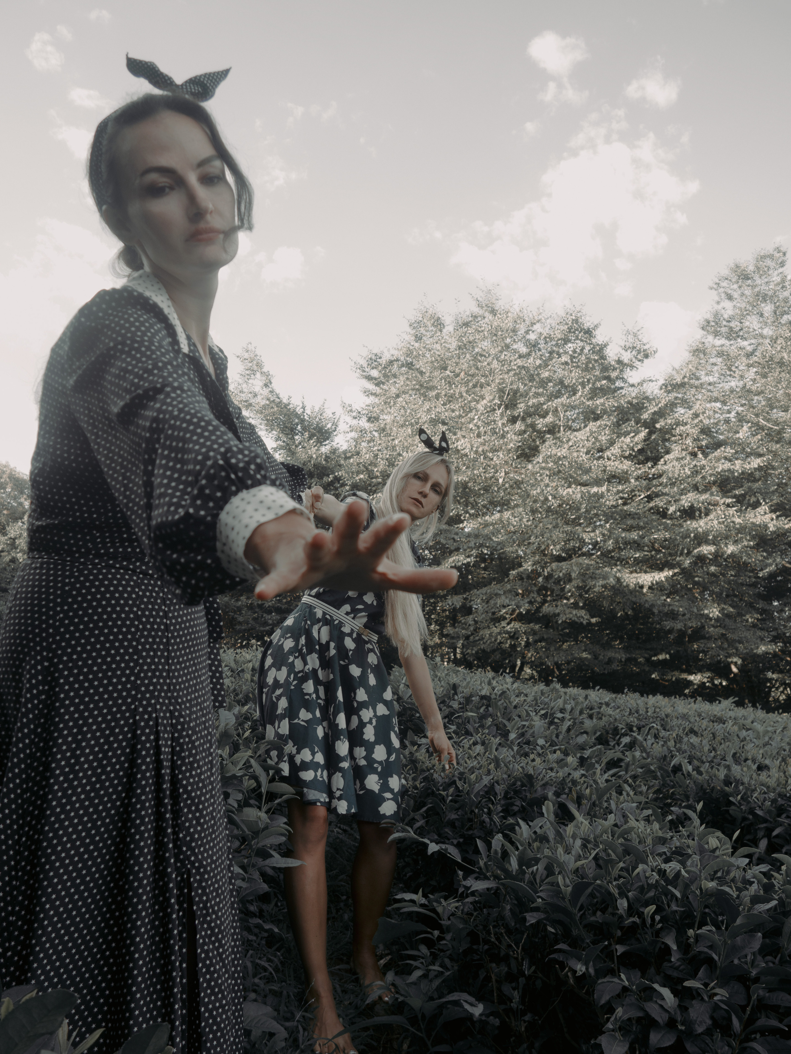 ЧАЙНЫЕ ФАНТАЗИИ. Меня зовут ОЛЬГА. Я ПЕРСОНАЛЬНЫЙ ФОТОГРАФ, МОСКВА