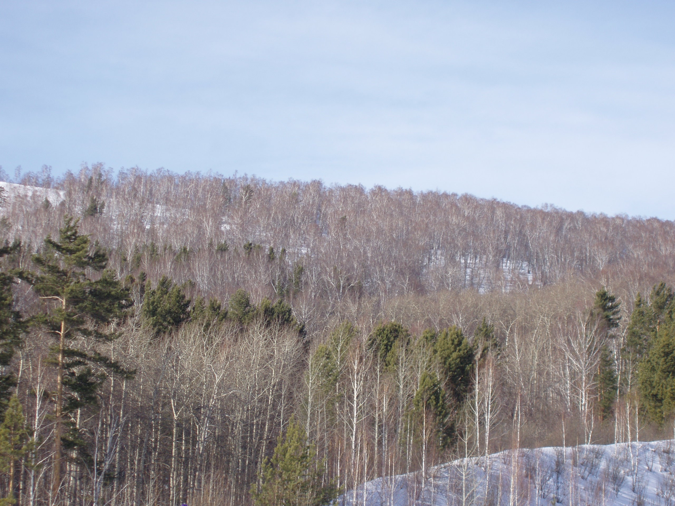 Биатлон 19.02-12.03.2006. Семейный, Свадебный фотограф СПБ Питер— Романова Екатерина