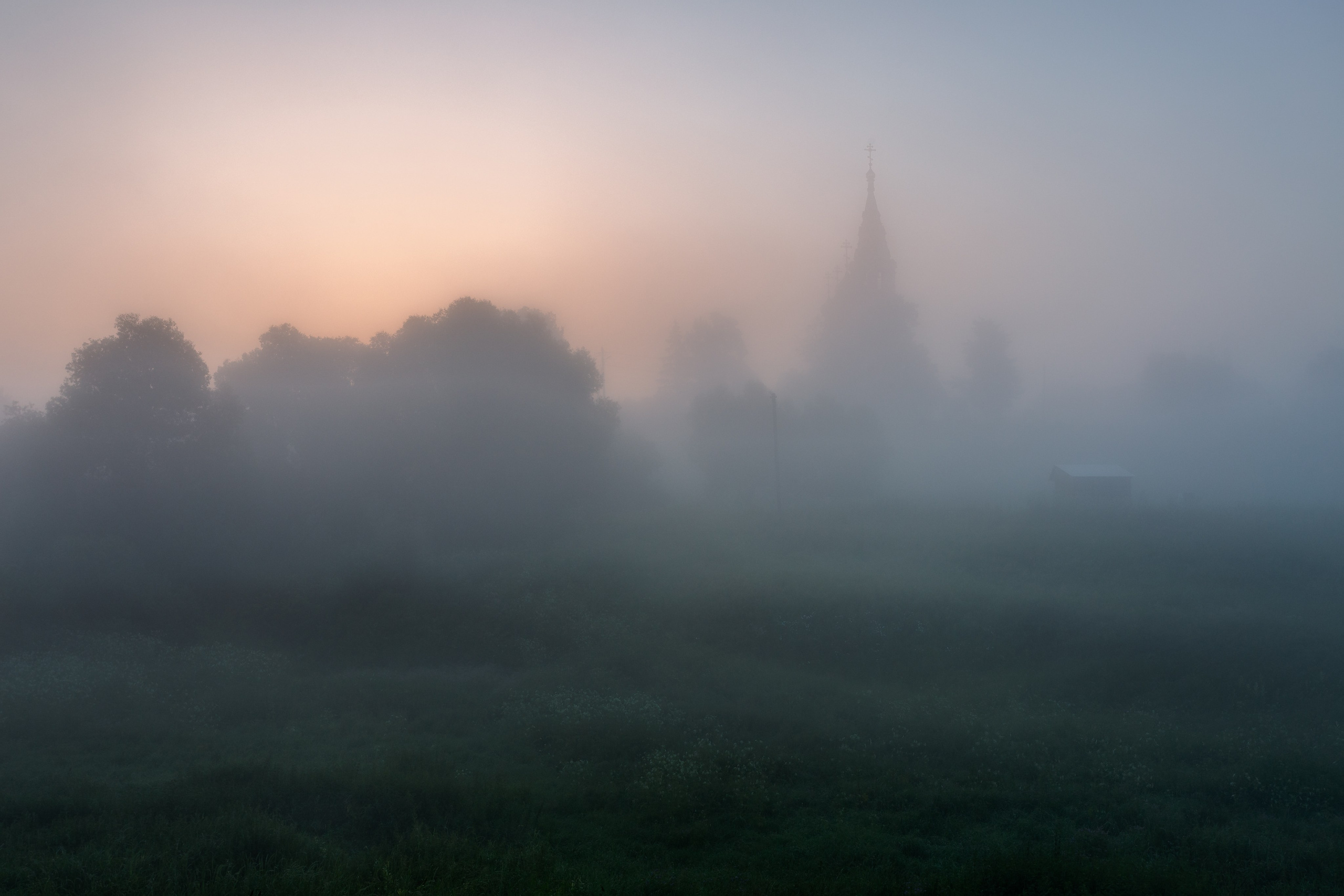 Природа (Лето). Фотограф Мартыненко Дмитрий