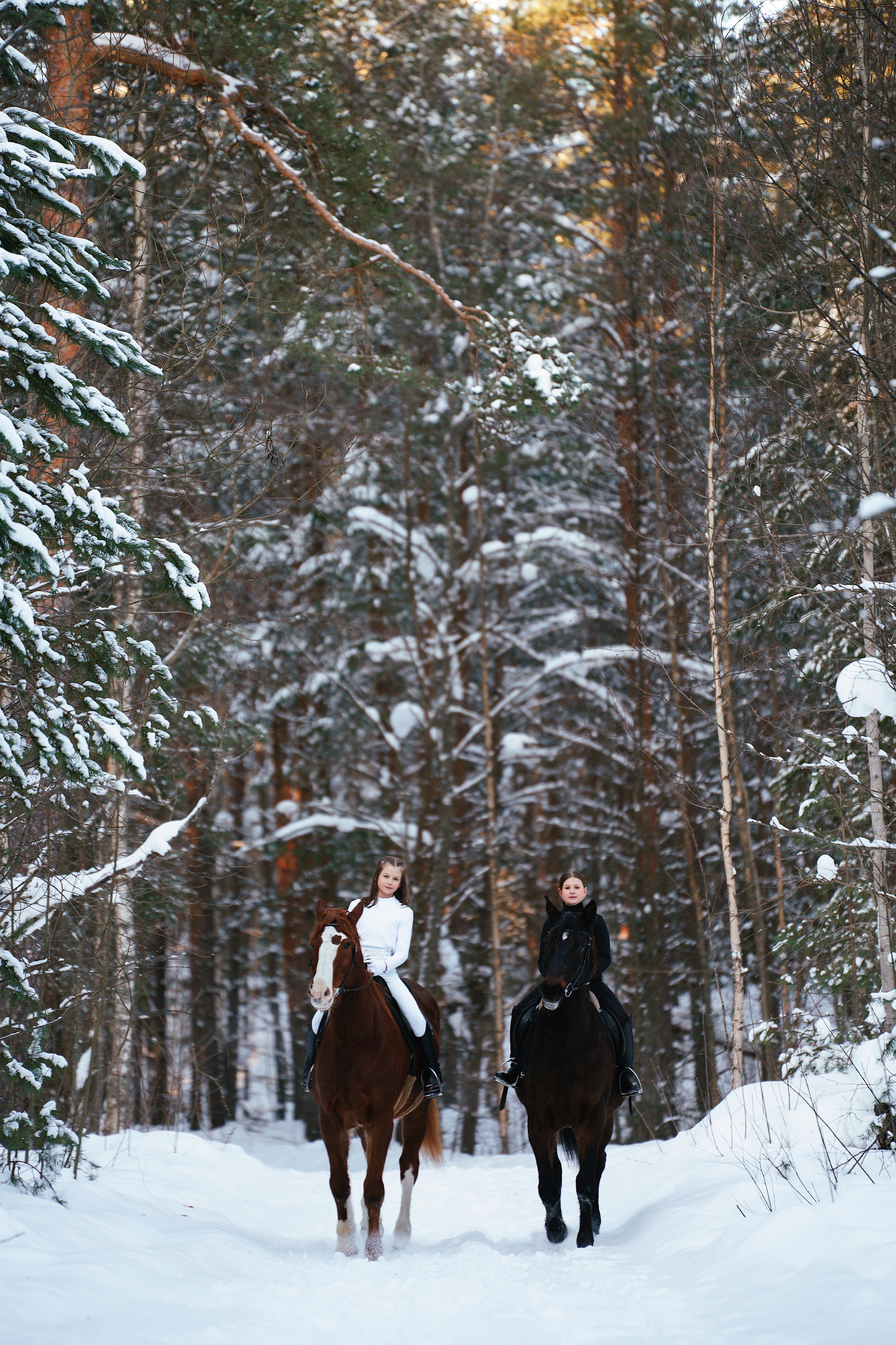 Конные. Фотограф Сибирика (Ирина Кузнецова), Санкт-Петербург и ЛО — портреты, свадьбы и семейные съемки. Творческий подход и качественные фото