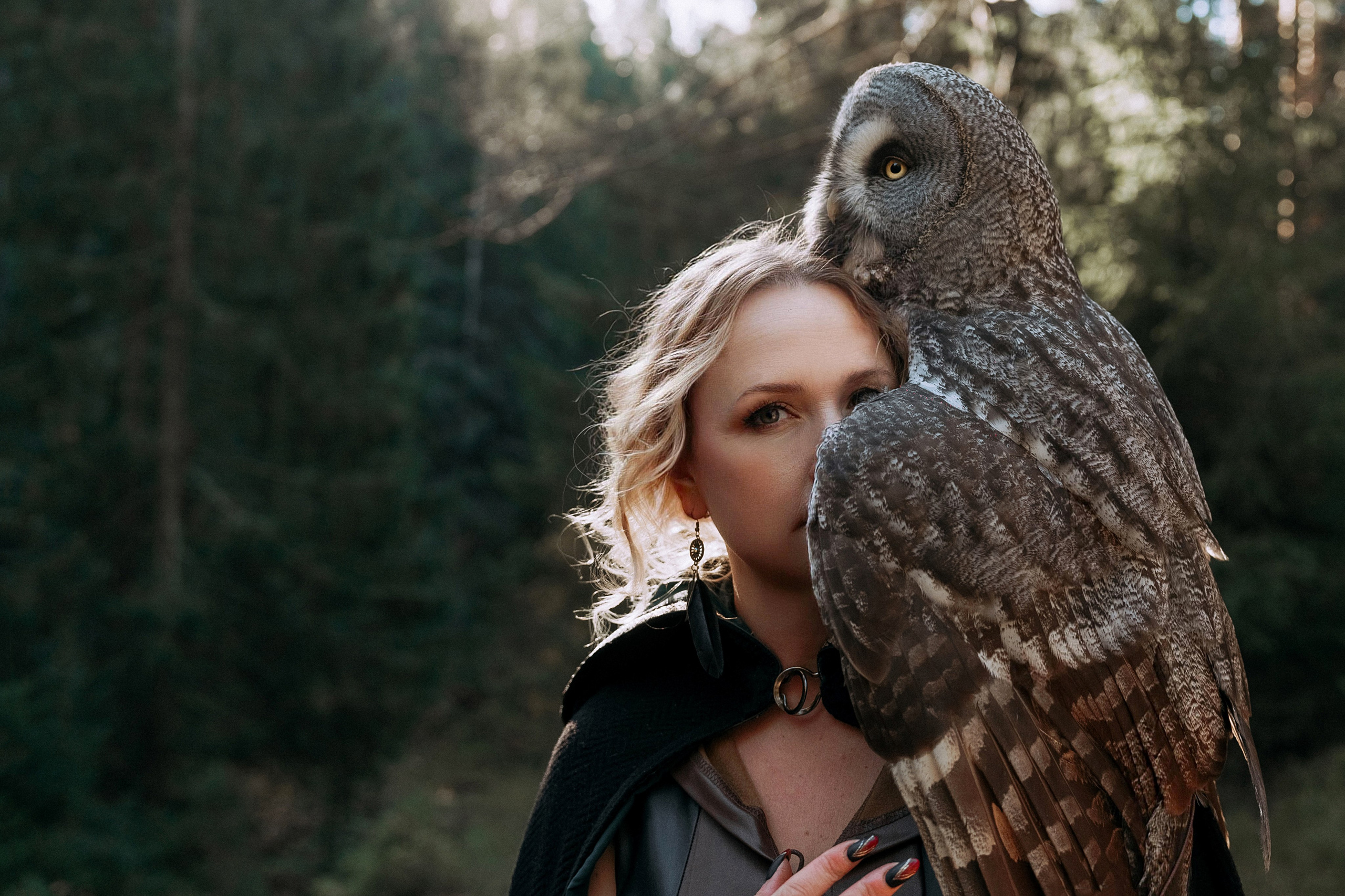 Художественные. Главная