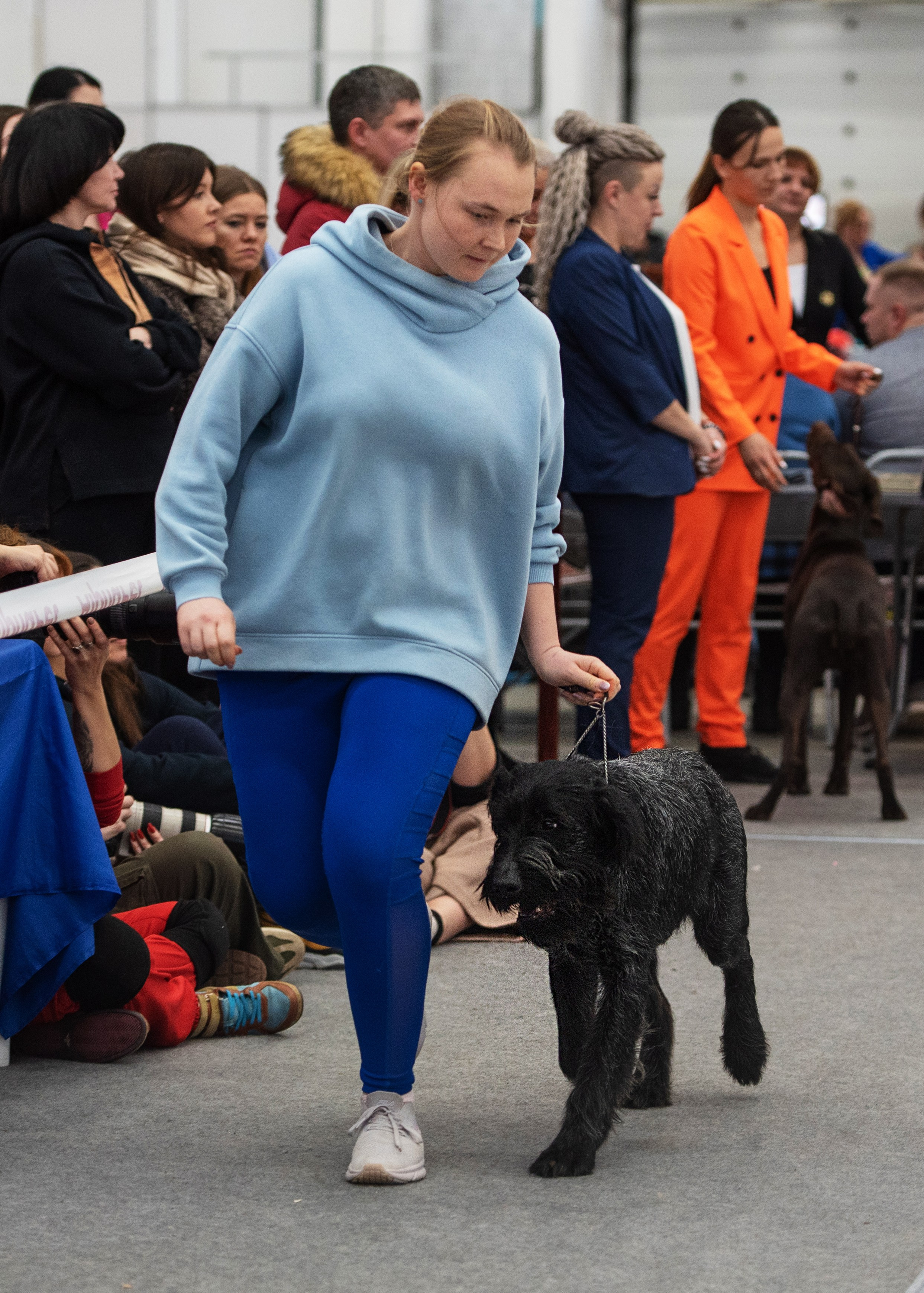 Выставки. Главная