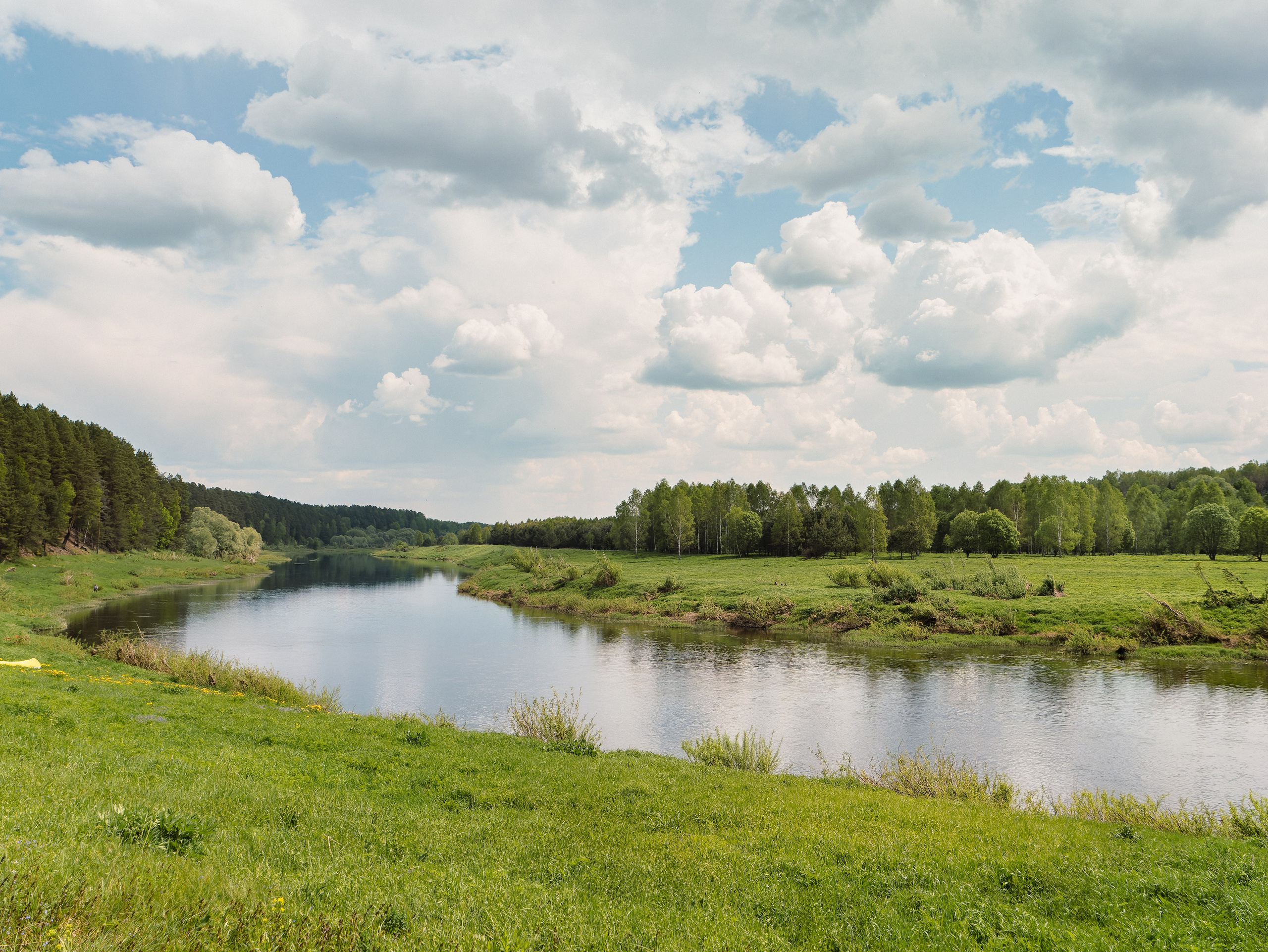 На берегу Угры. Конец мая 2024 года. Фотограф Никифоров-Гордеев Сергей. Москва и МО