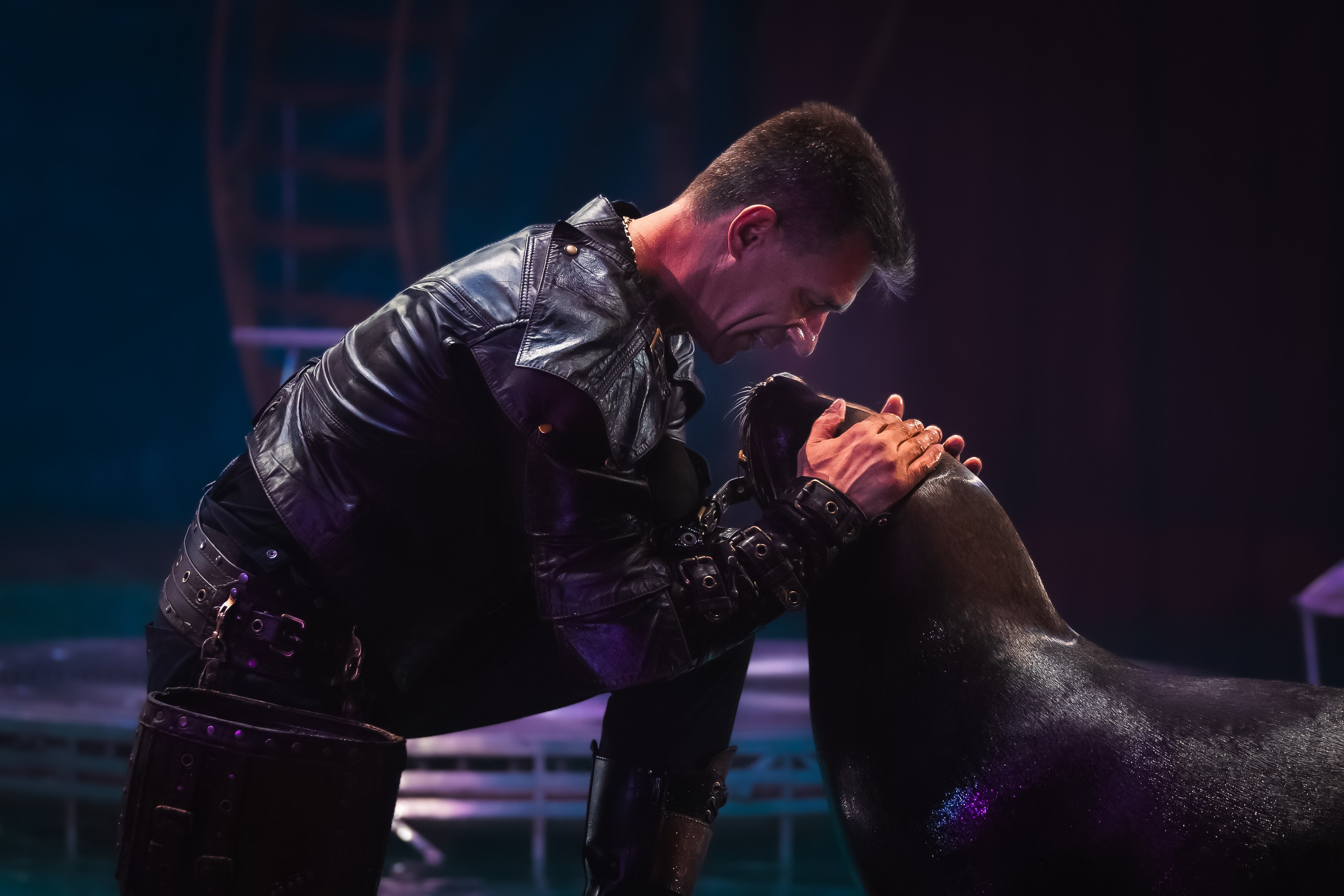 Aqua Circus. Фотограф мероприятий в Таганроге Александр Потихонов