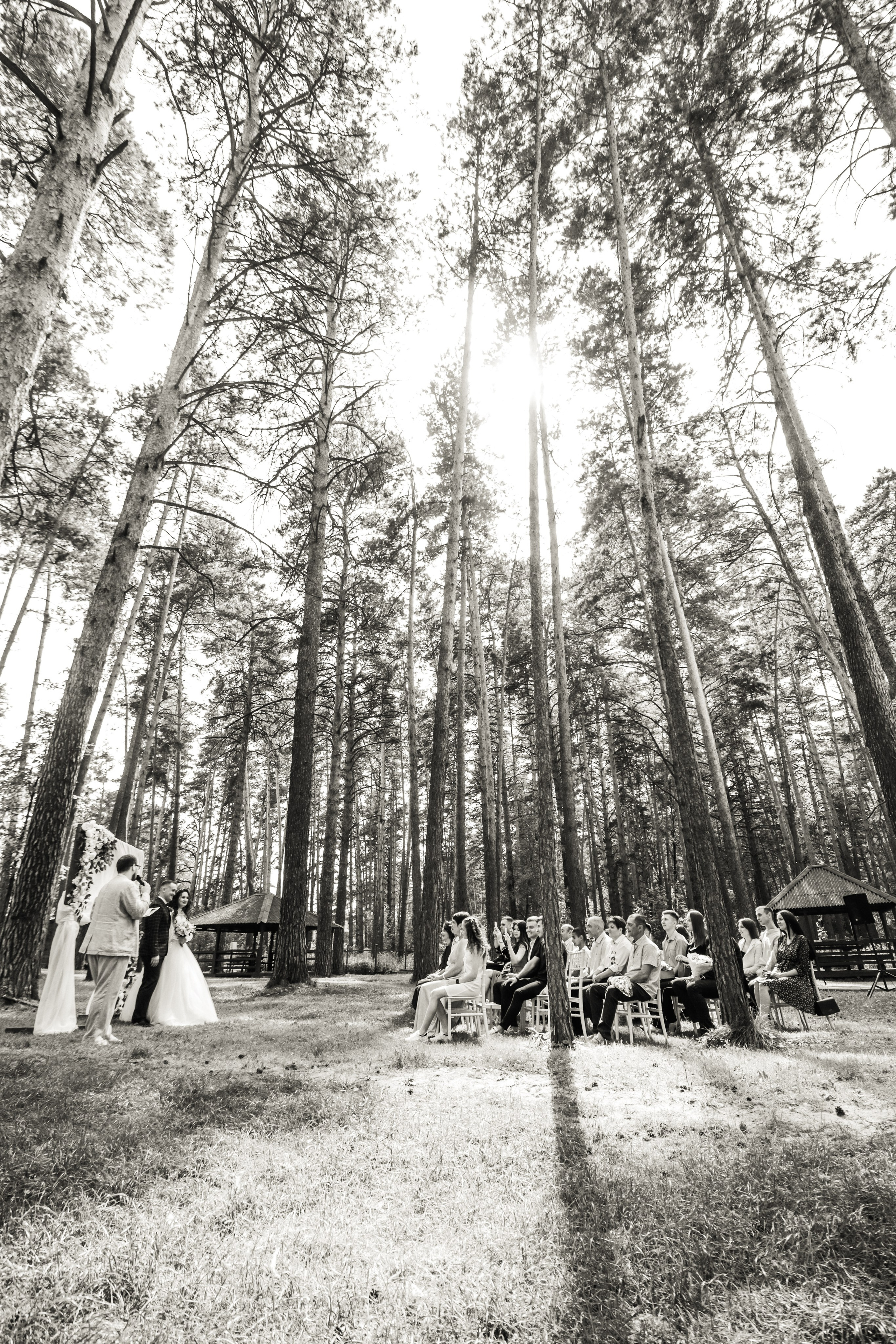 Свадьбы. Контент фотограф Дмитрий Борисов