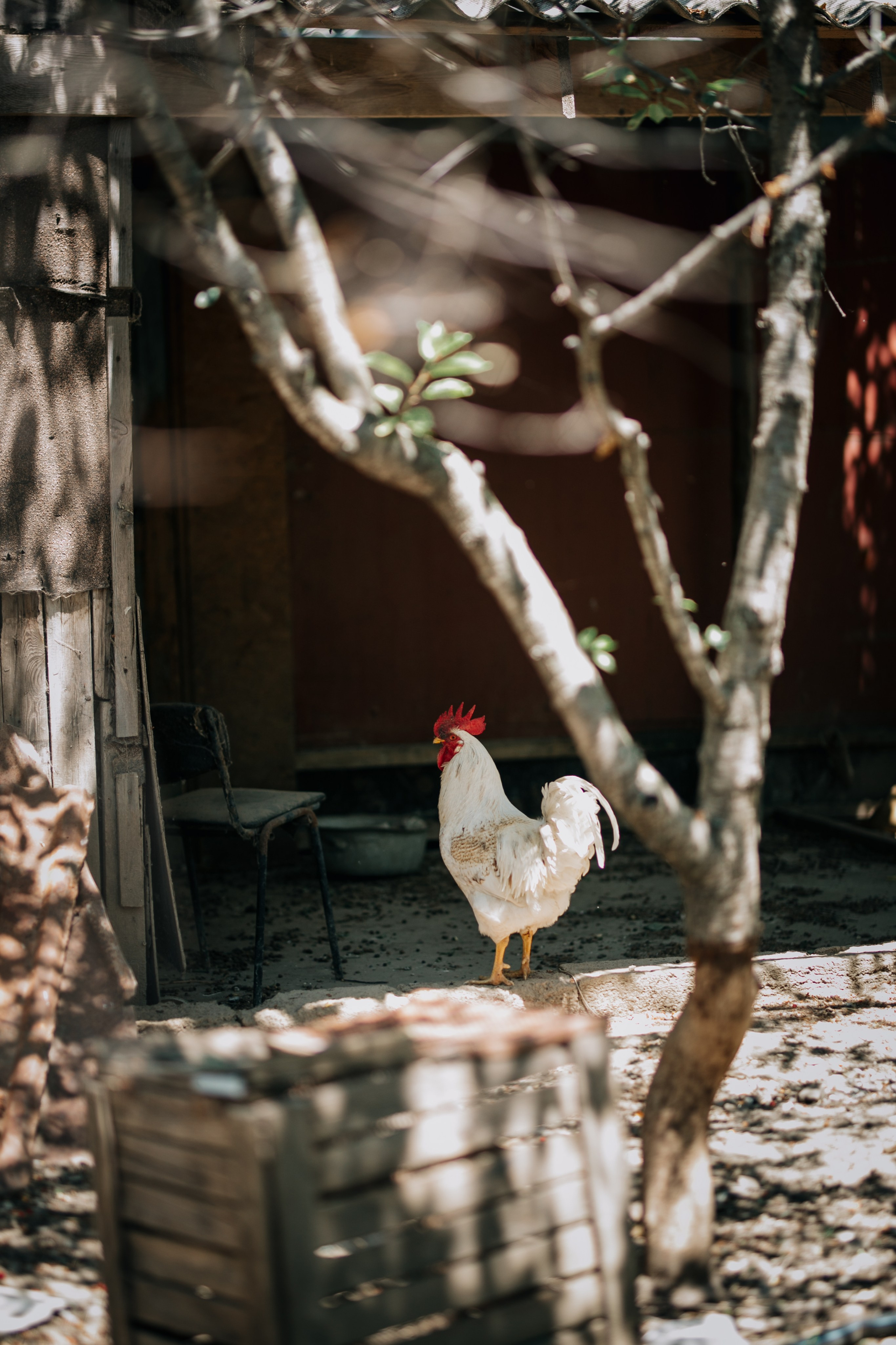 День защиты детей (РОСТ). Фотограф в Крыму