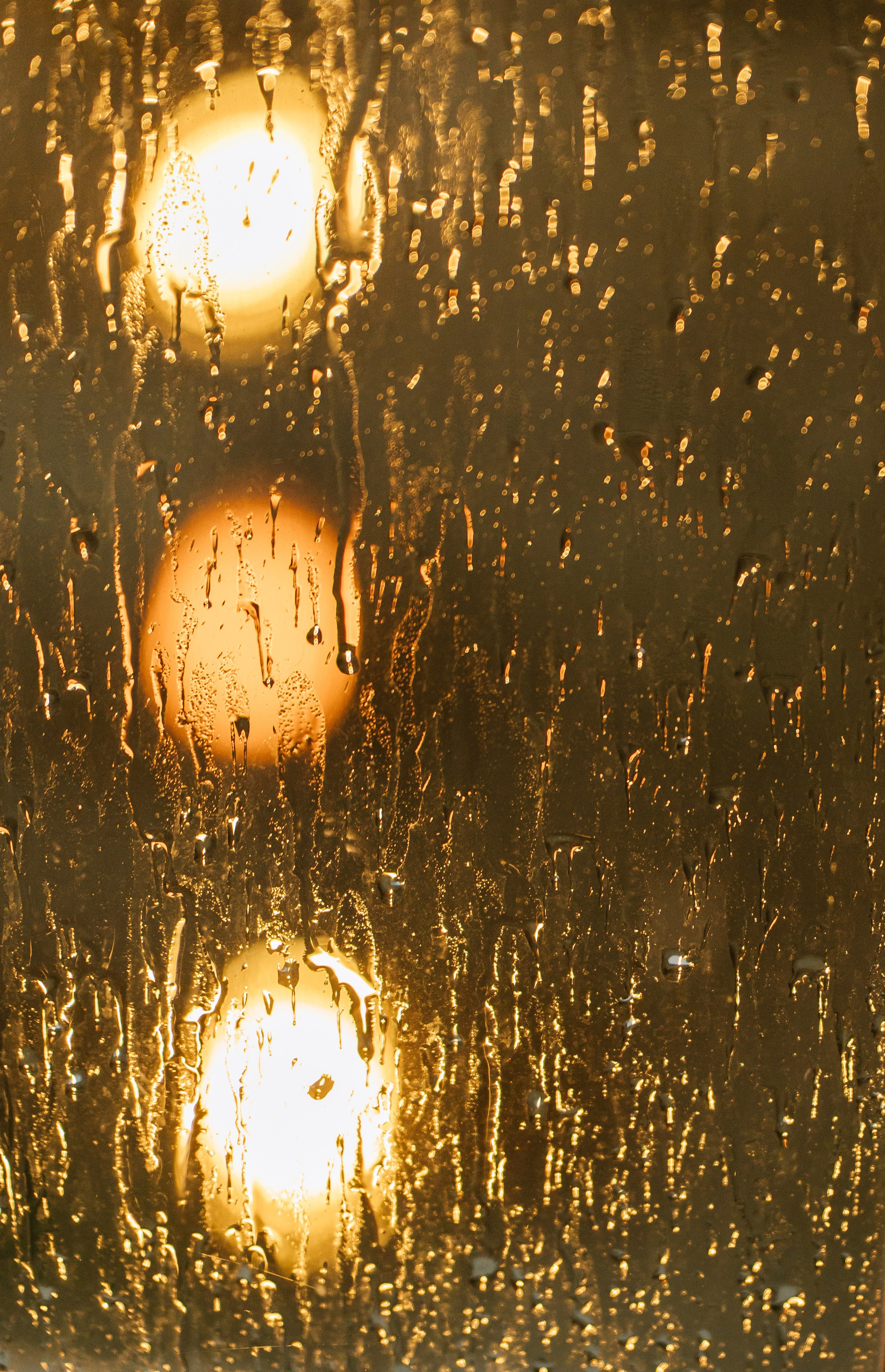 Даня и Юля. Свадебный и семейный фотограф в Анапе Елена Полетаева