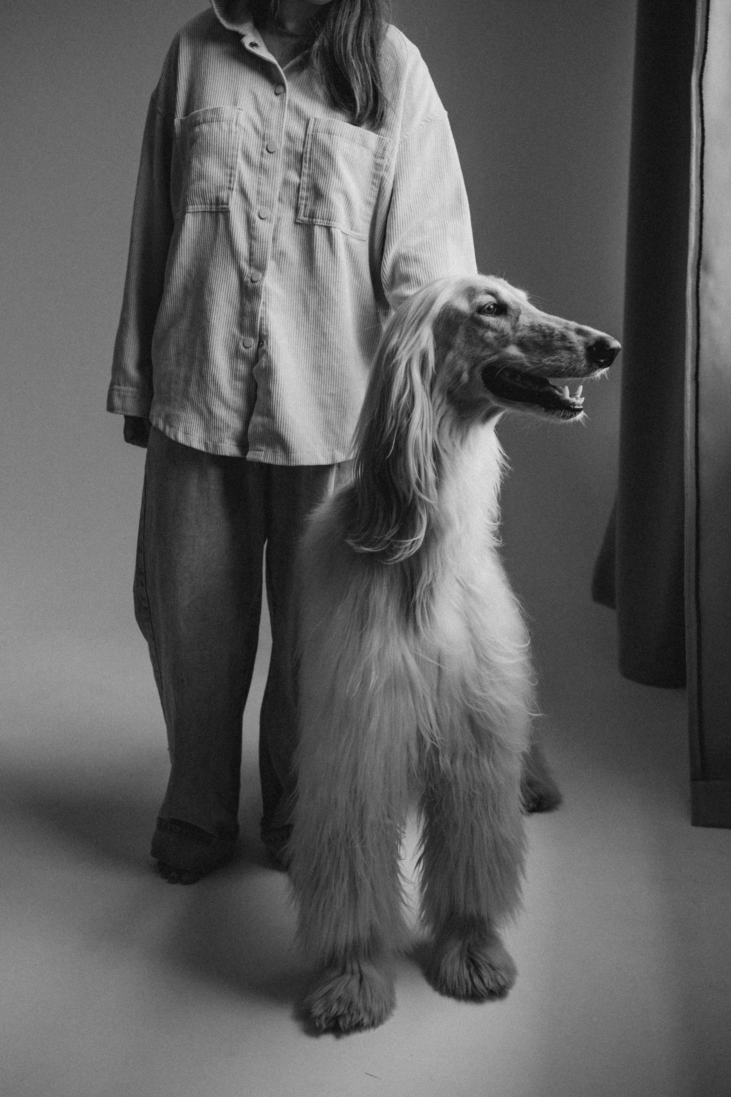 Катя и Милка. Семейный фотограф и анималист в Москве Анна Иванова