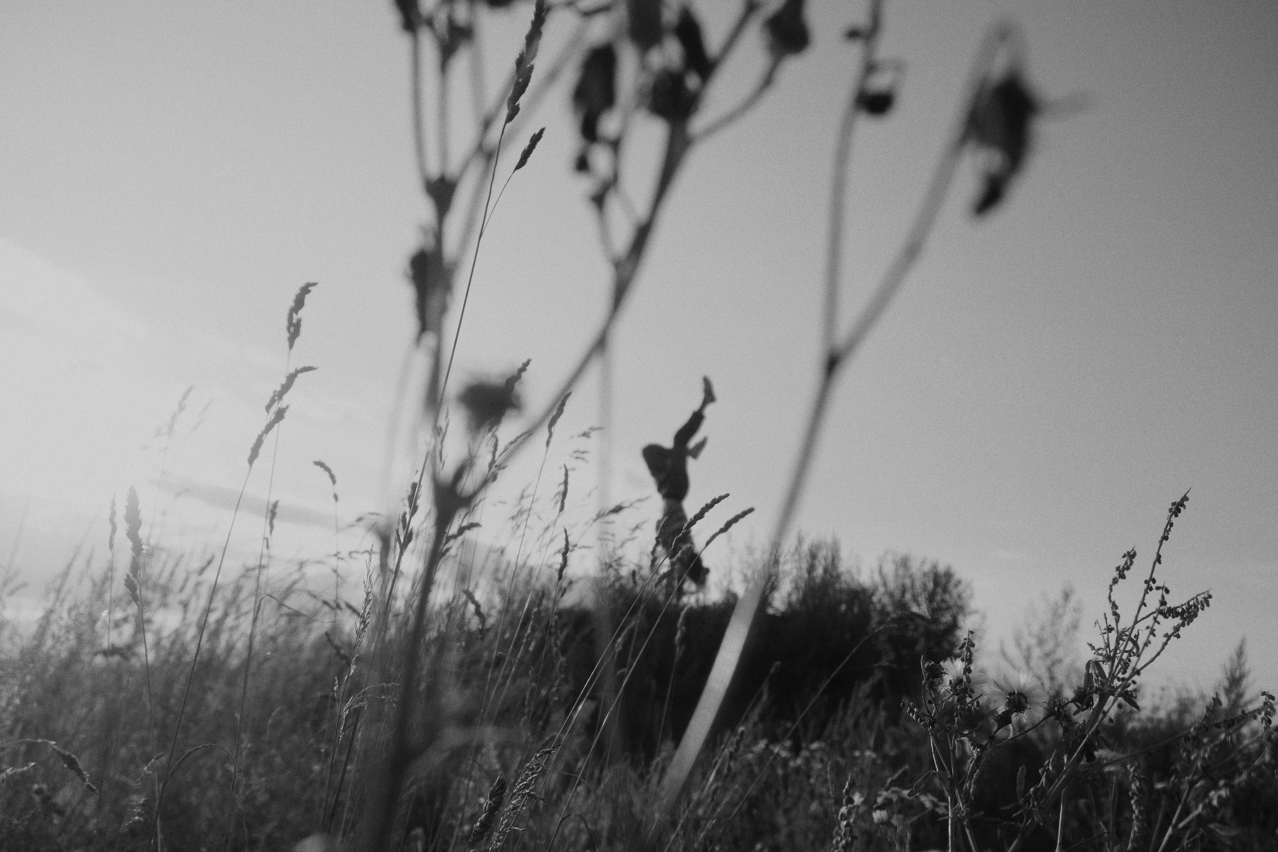 Беларусь. Фотограф Настя Лев