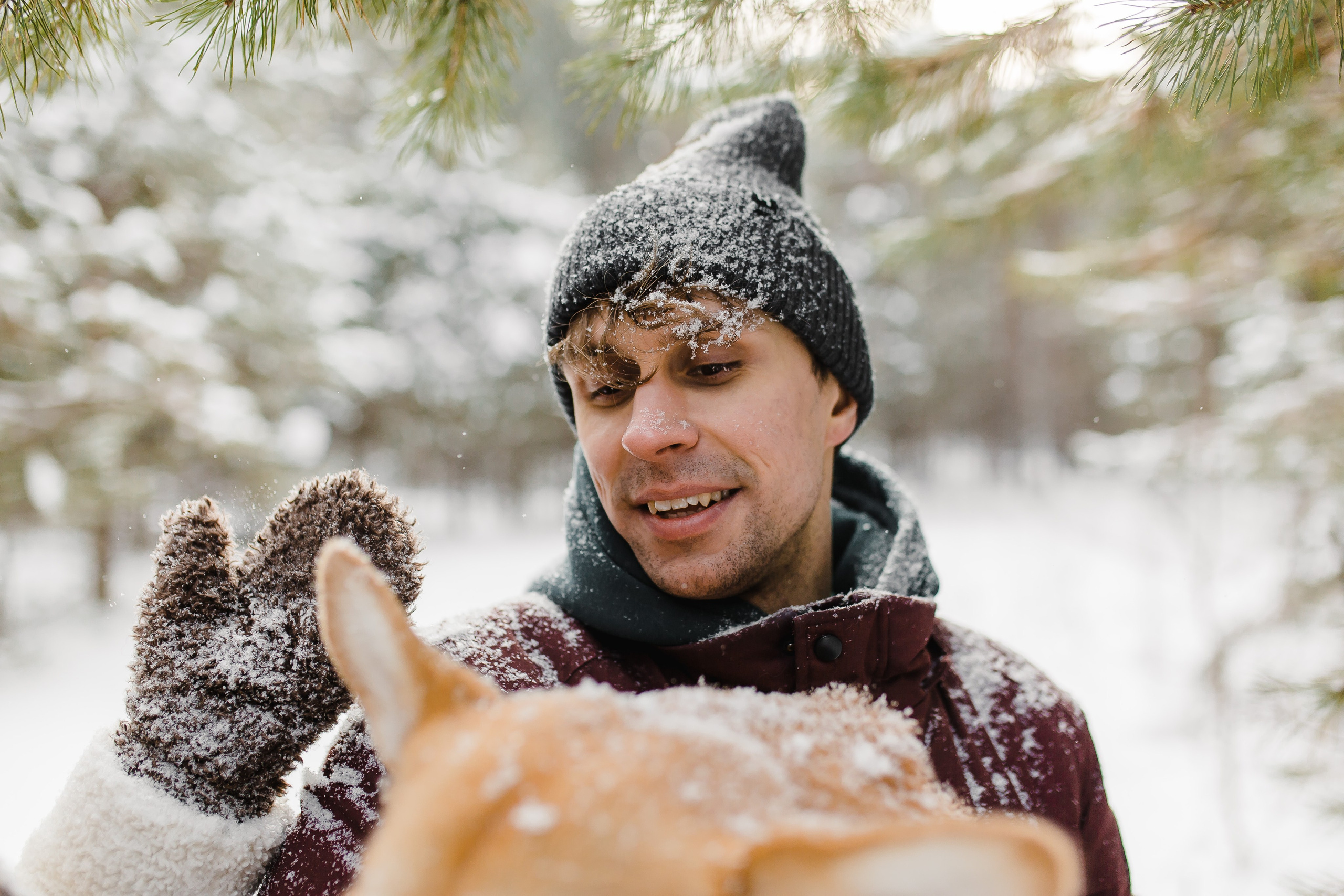 Дима и Даша. Свадебный и семейный фотограф в Томске Алексей