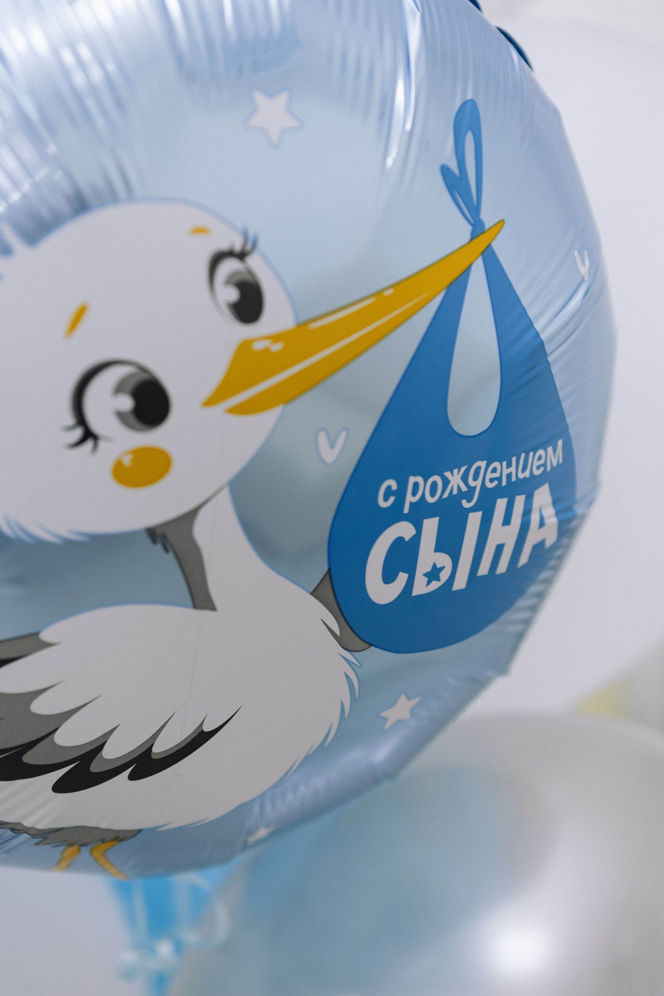 Выписка Яны и Ярослава. Фотограф в Курске Смирнов Евгений