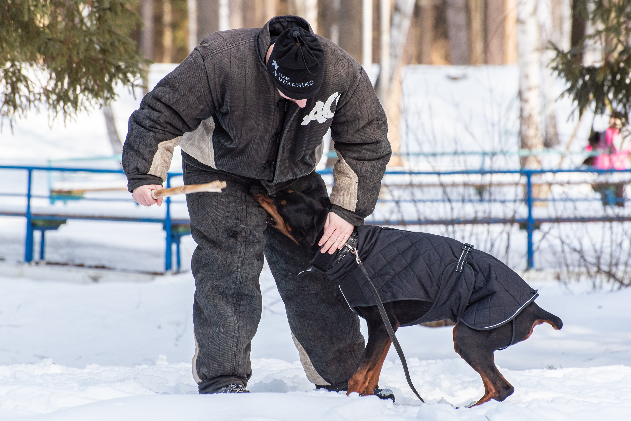 Фотосъёмка с собаками в Кинологическом лагере. Фотограф Макс Огурцов в Нижнем Новгороде