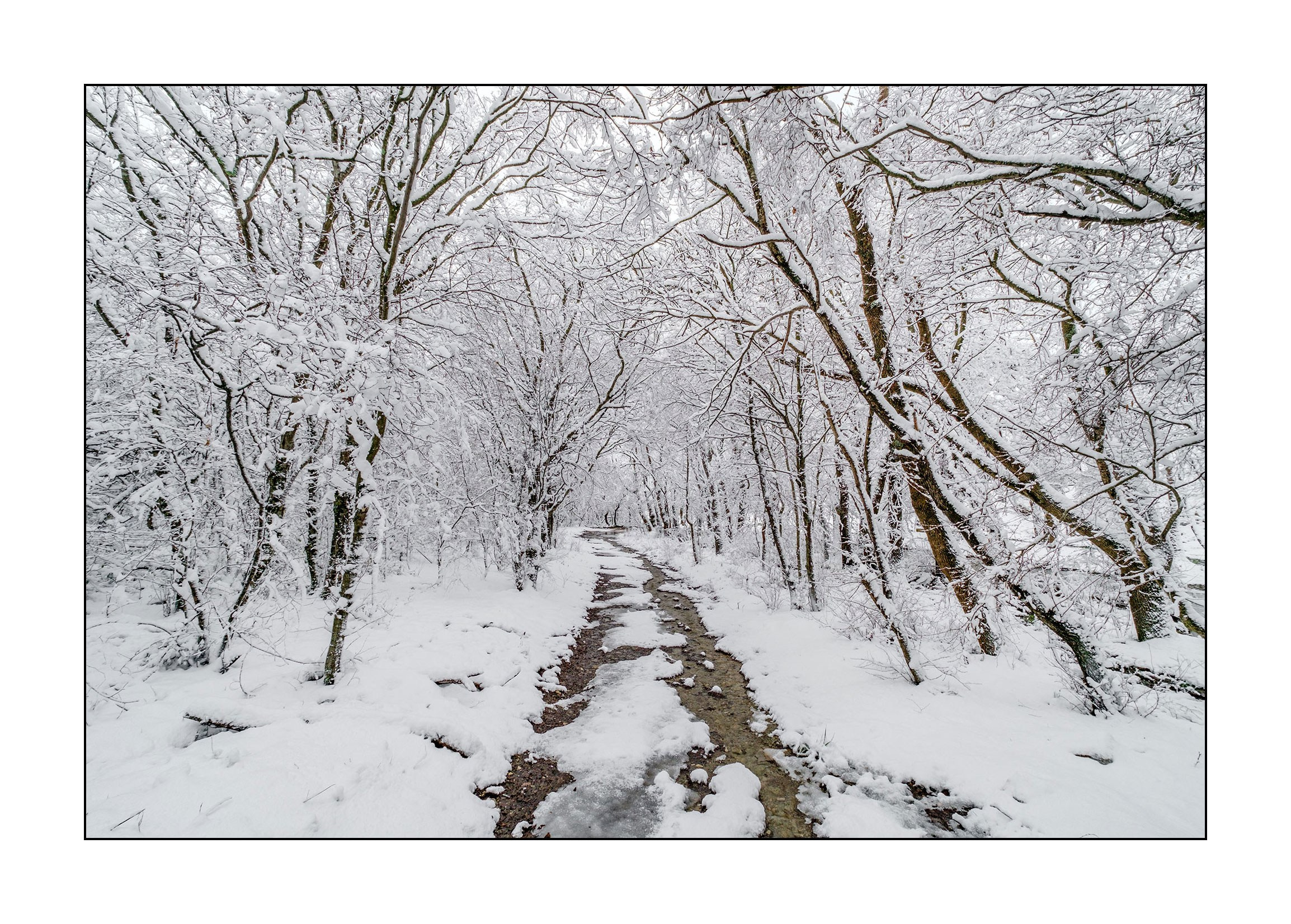 фотограф Геленджик