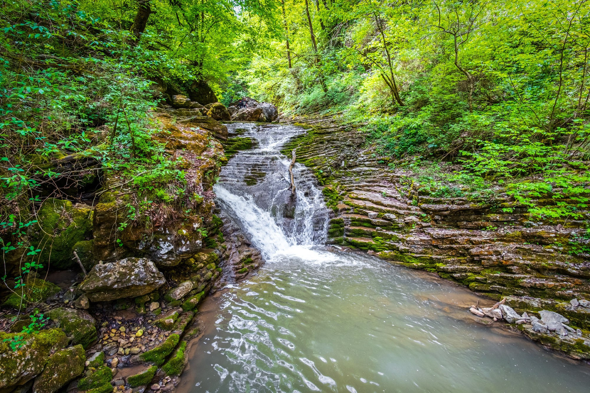 Свадебный фотограф в Геленджике