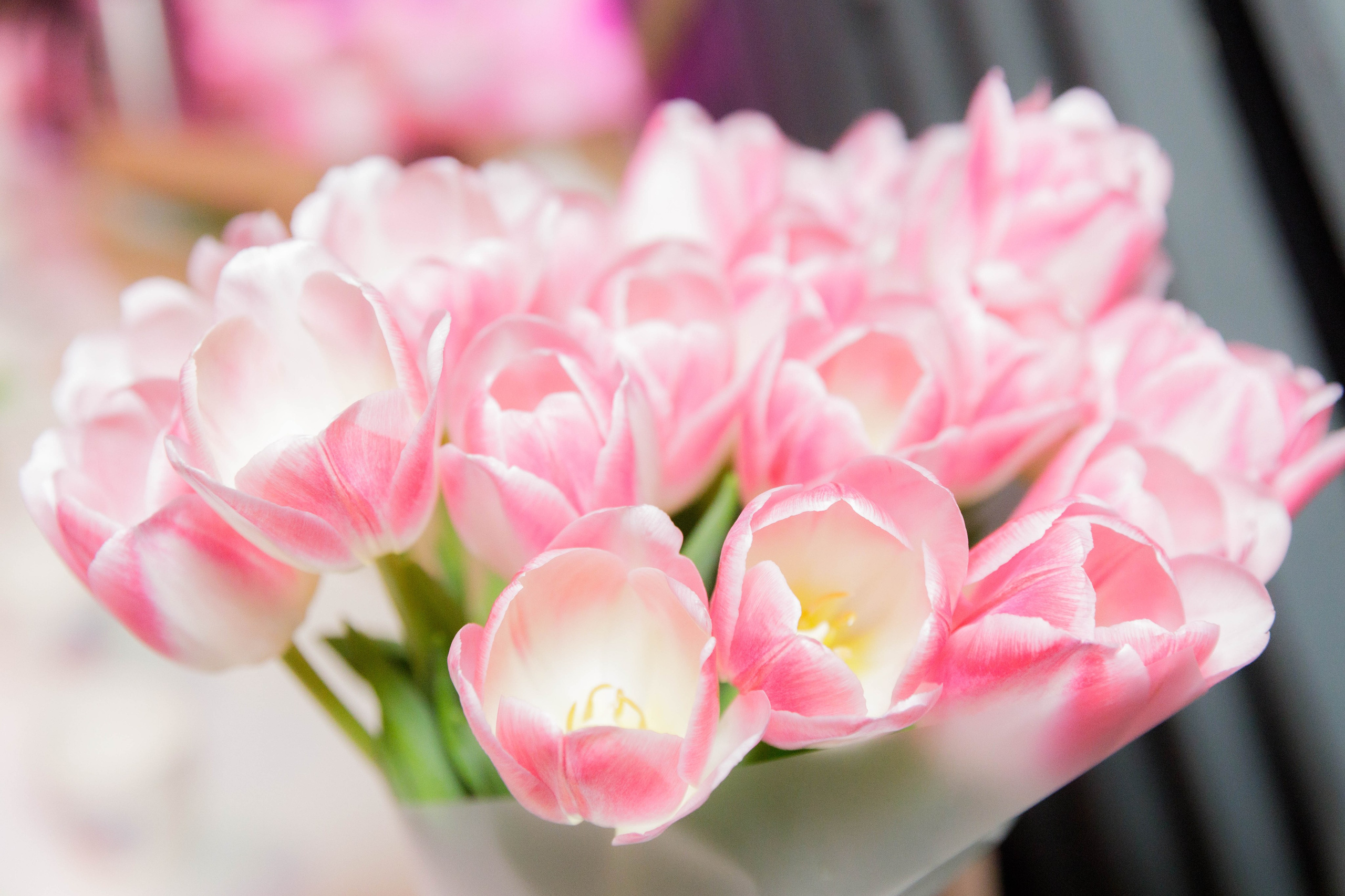 Wellness Club. Репортажный фотограф в Новосибирске Алена Помазунова