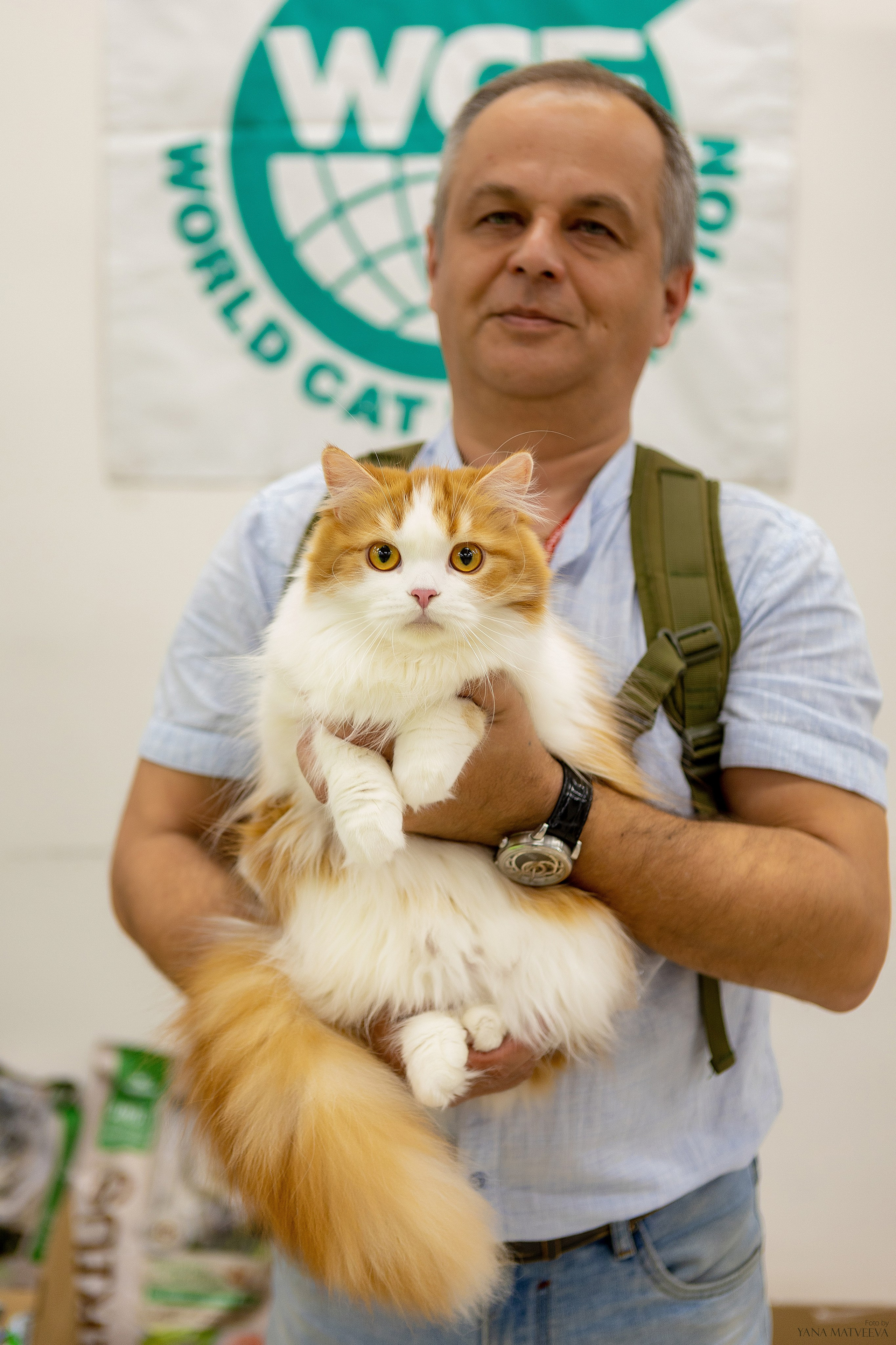 Кошки. Фотограф Яна Матвеева в Ижевске