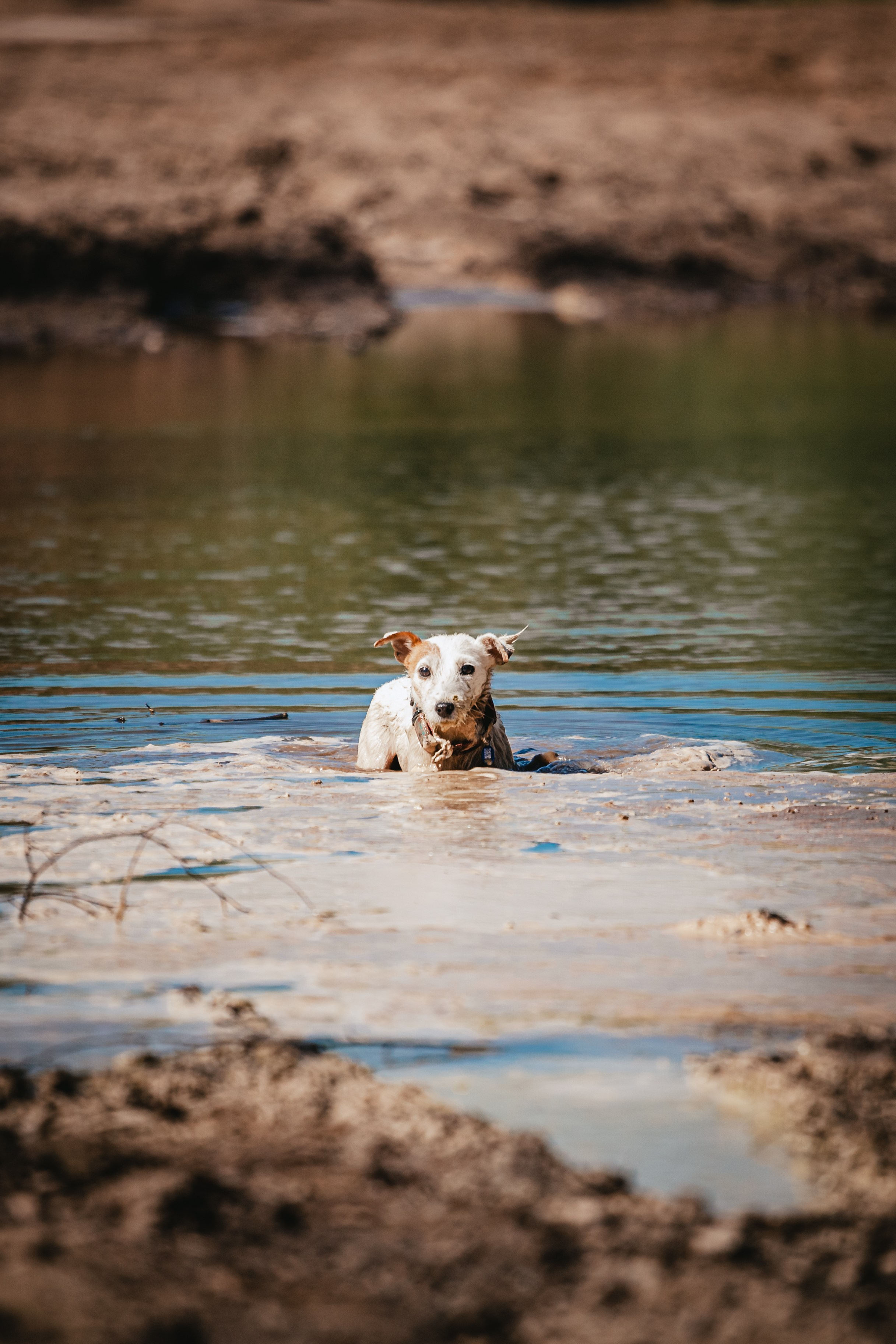 Кондуки. Фотограф-анималист Татьяна Степанова