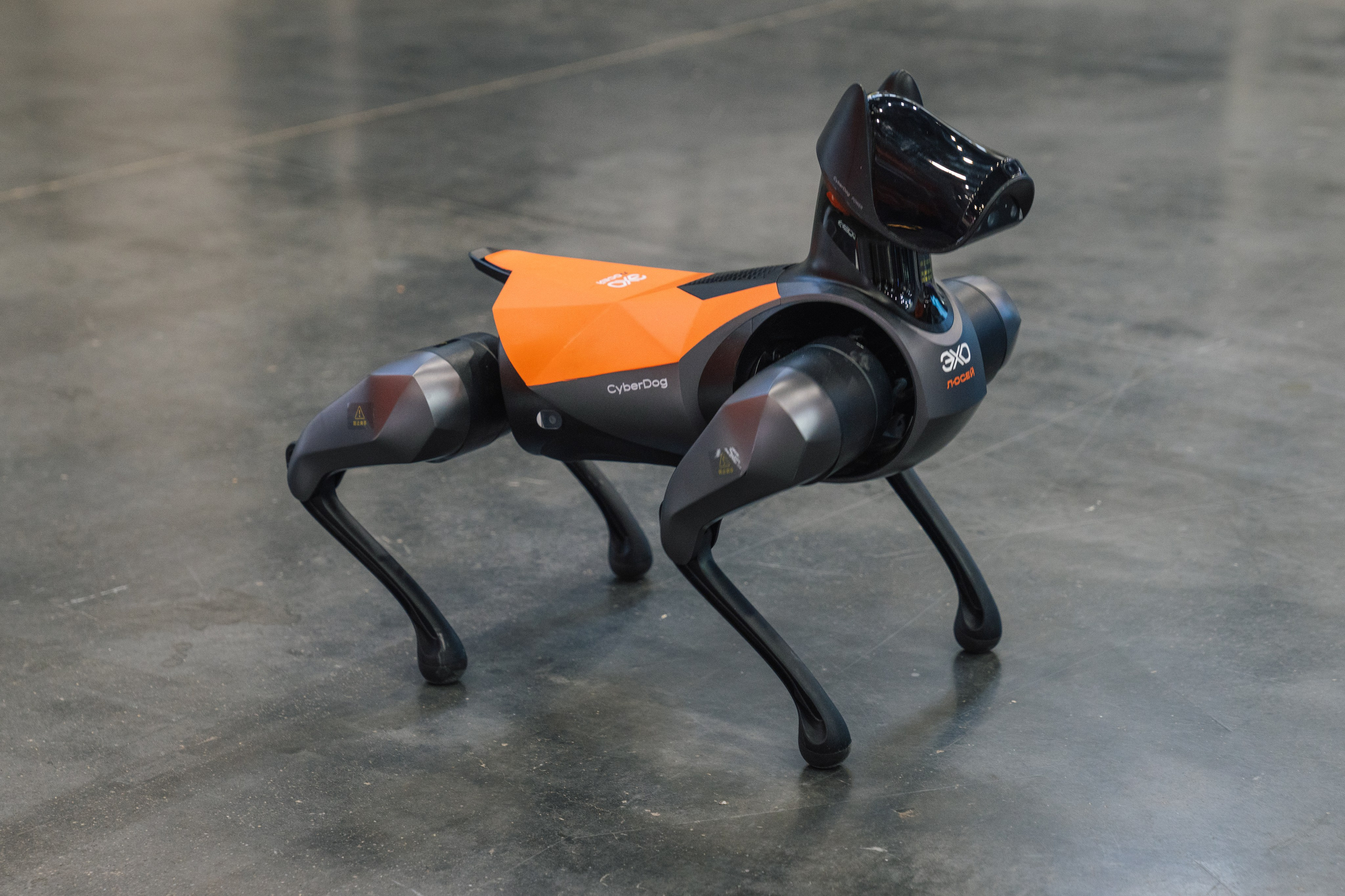 OCS. Kaef-production