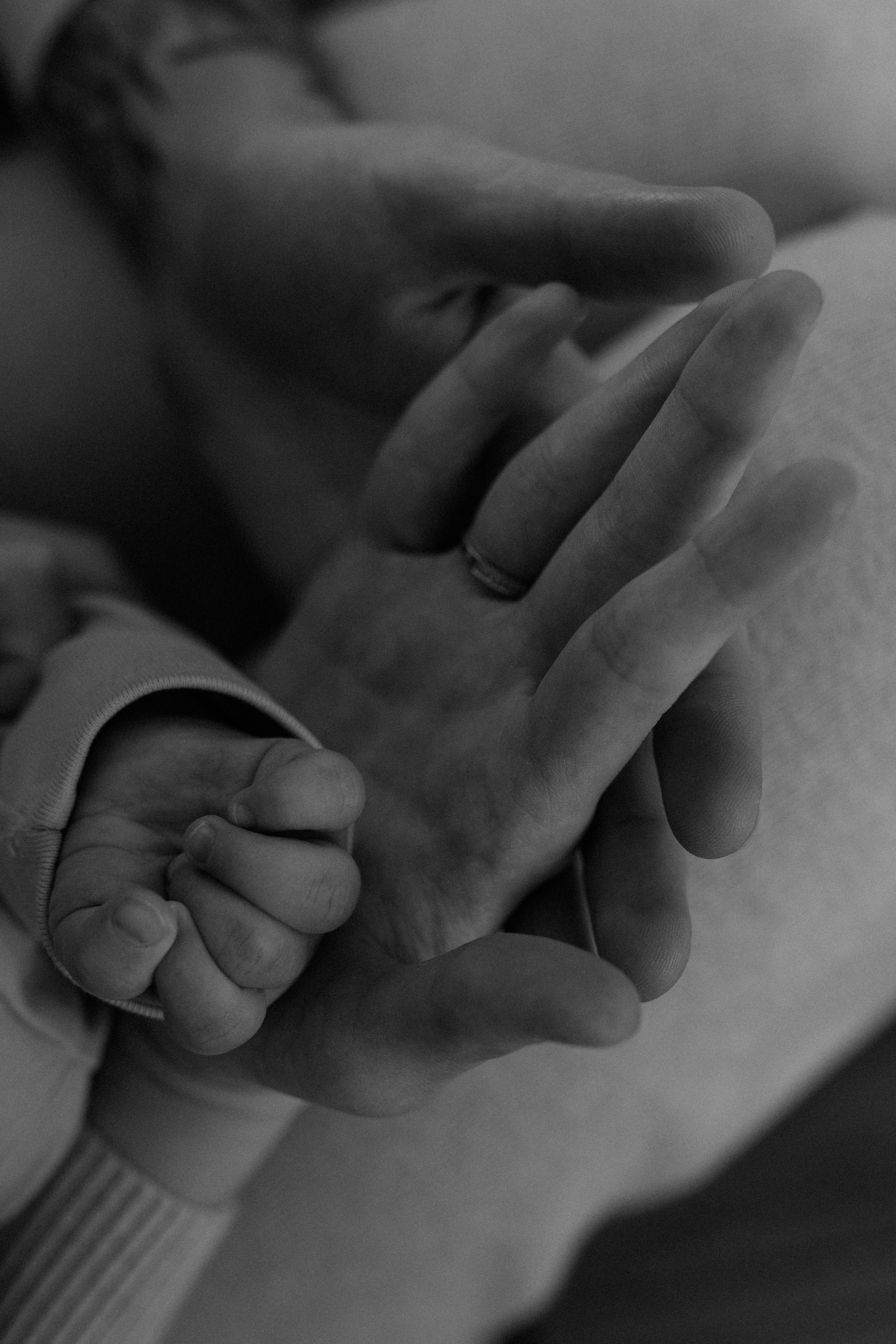 Семья. Семейный и свадебный фотограф в Краснодарском крае и РА Юлия Голуб