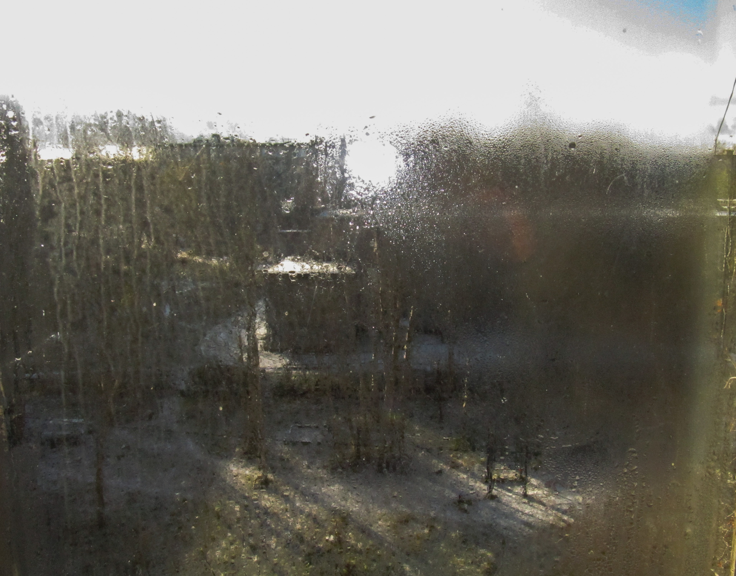 Шлейфы и сполохи. Alexey syrov / Visual artist