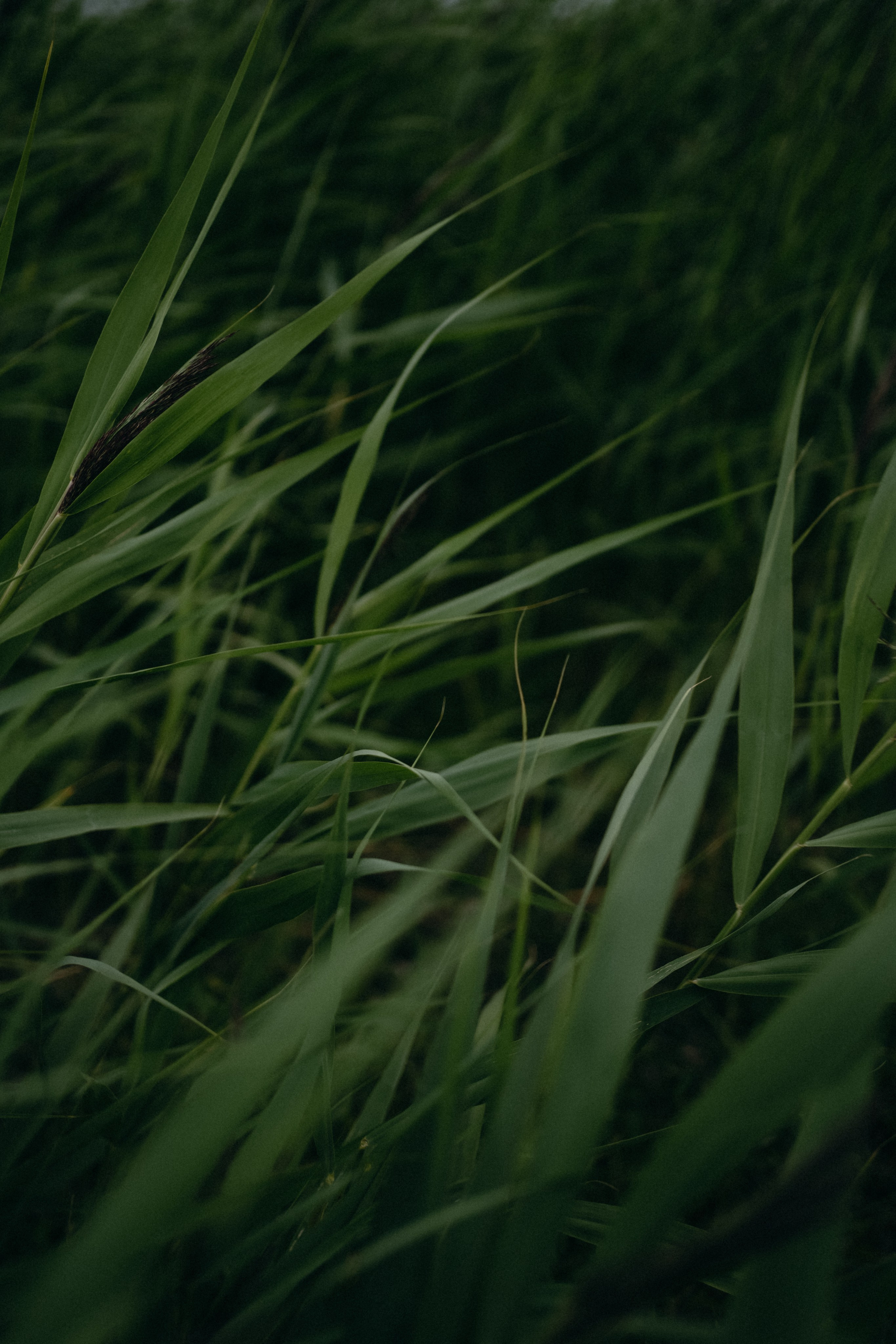 Аня и Тая. Фотограф Перевозкина Анна