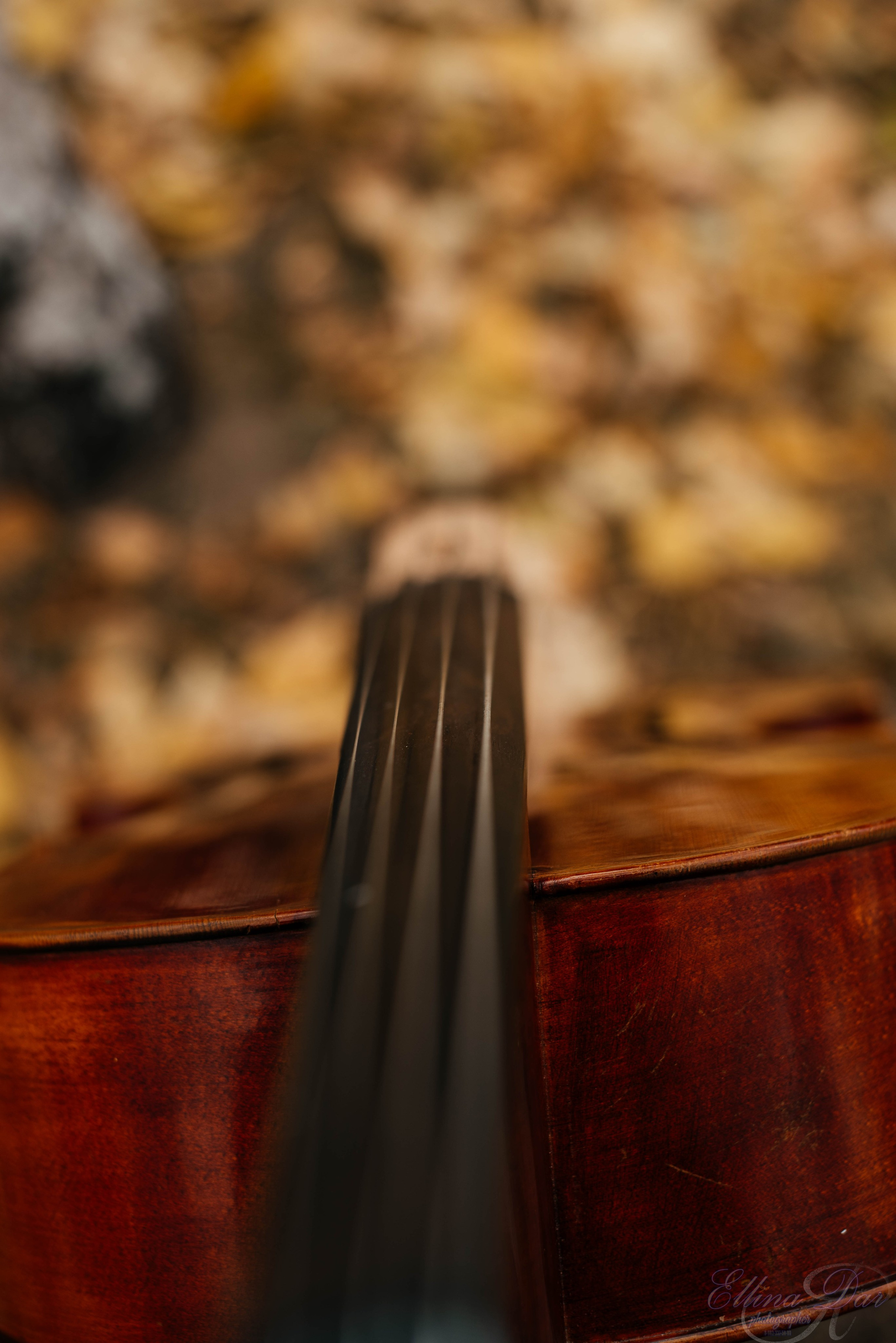 Аюмишка. Фотограф Эллина Дар г. Улан-Удэ