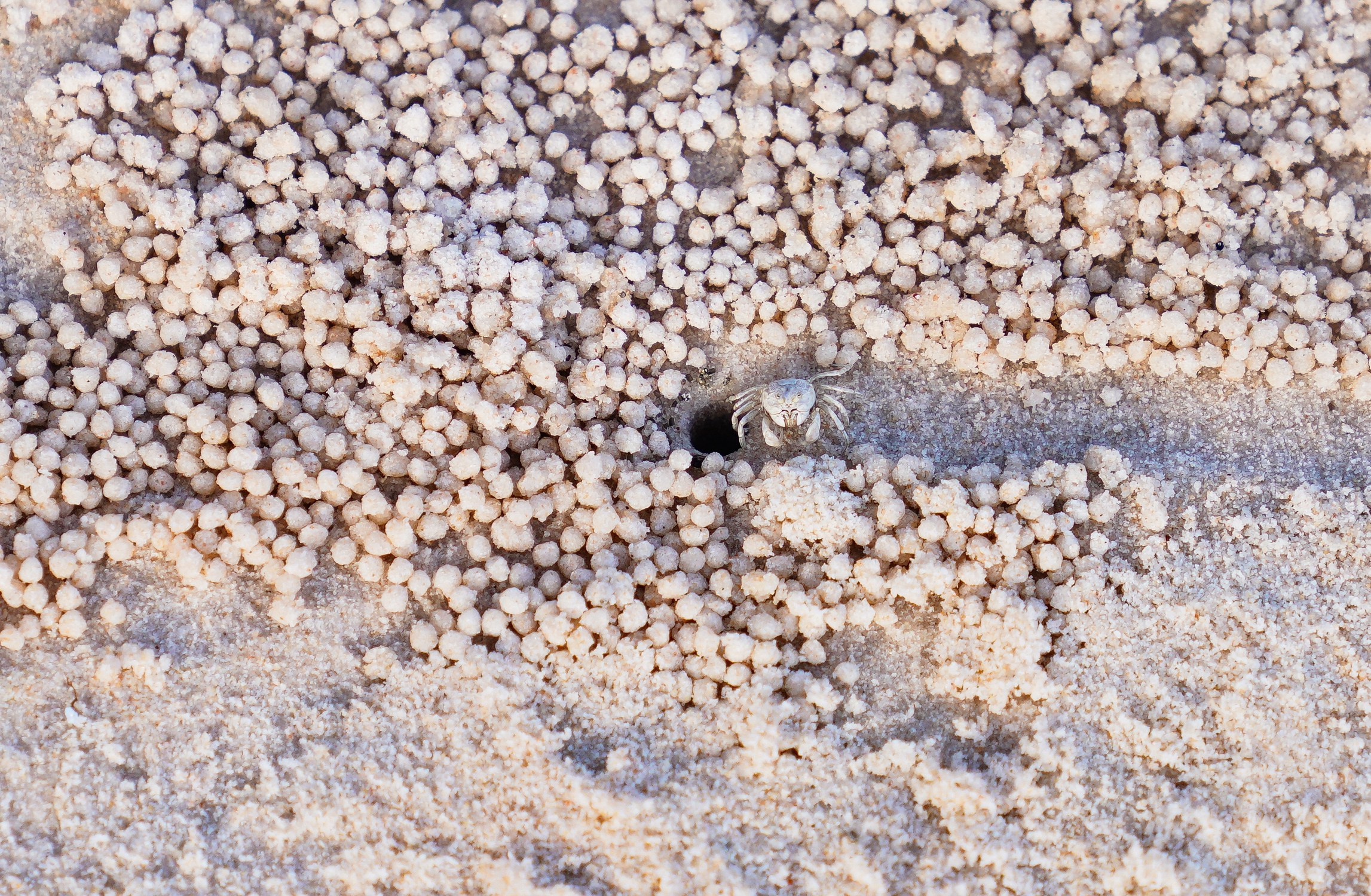 Остров Фукуок, Вьетнам. Фотограф Сергей Кишкель Дананг Нячанг Фукуок