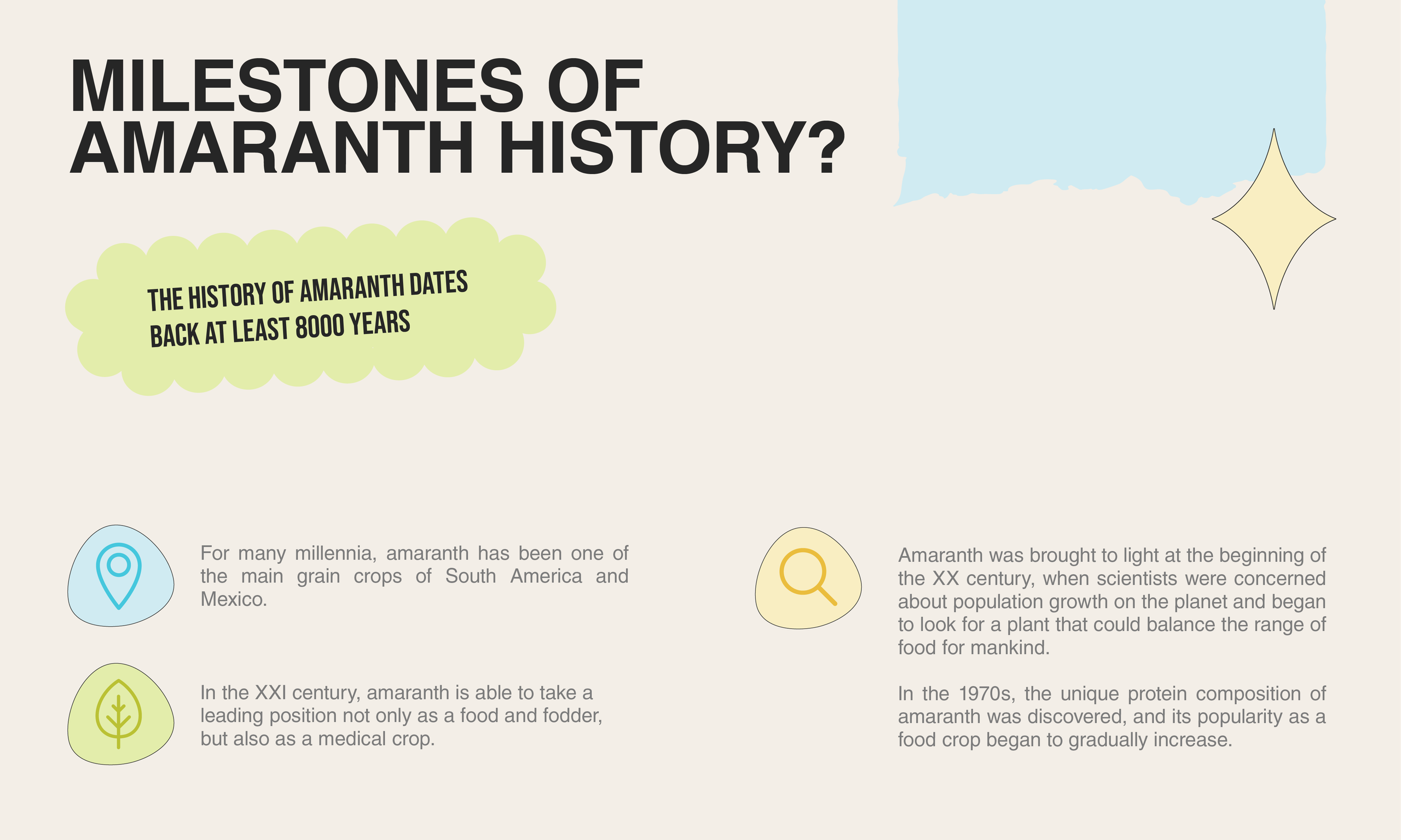 AMARANCHO. Arina is a creative Graphic Designer