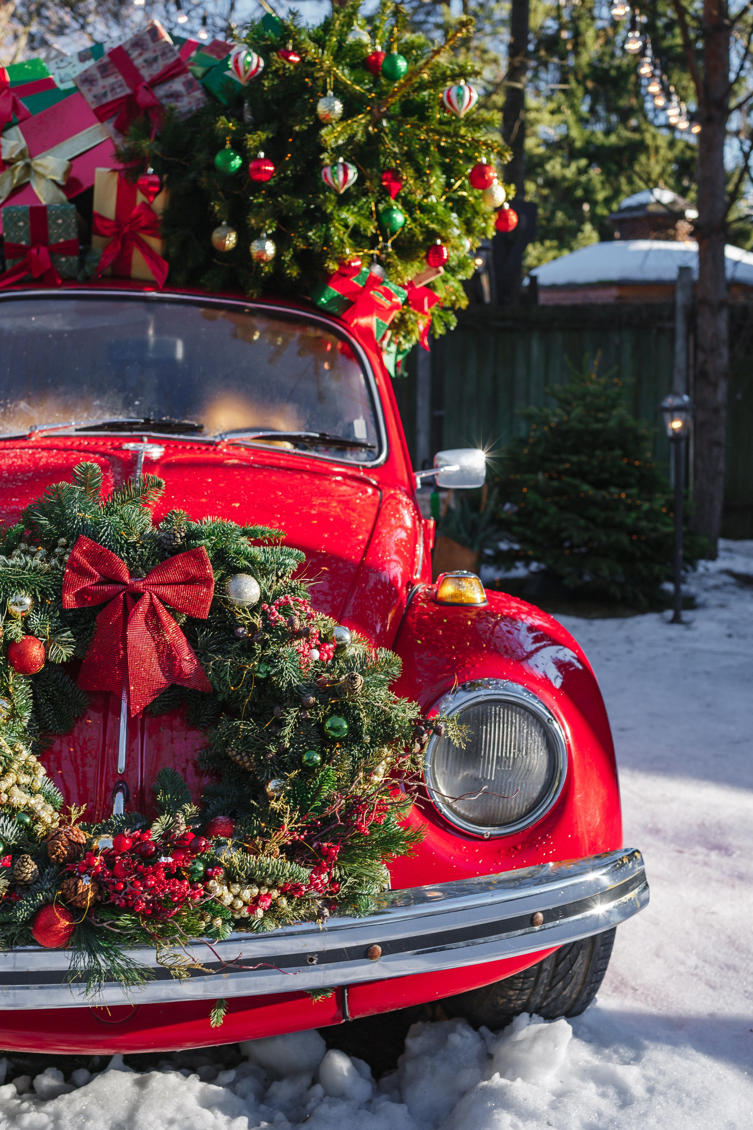 Зимняя сказка. Семейный фотограф Николаева Ольга