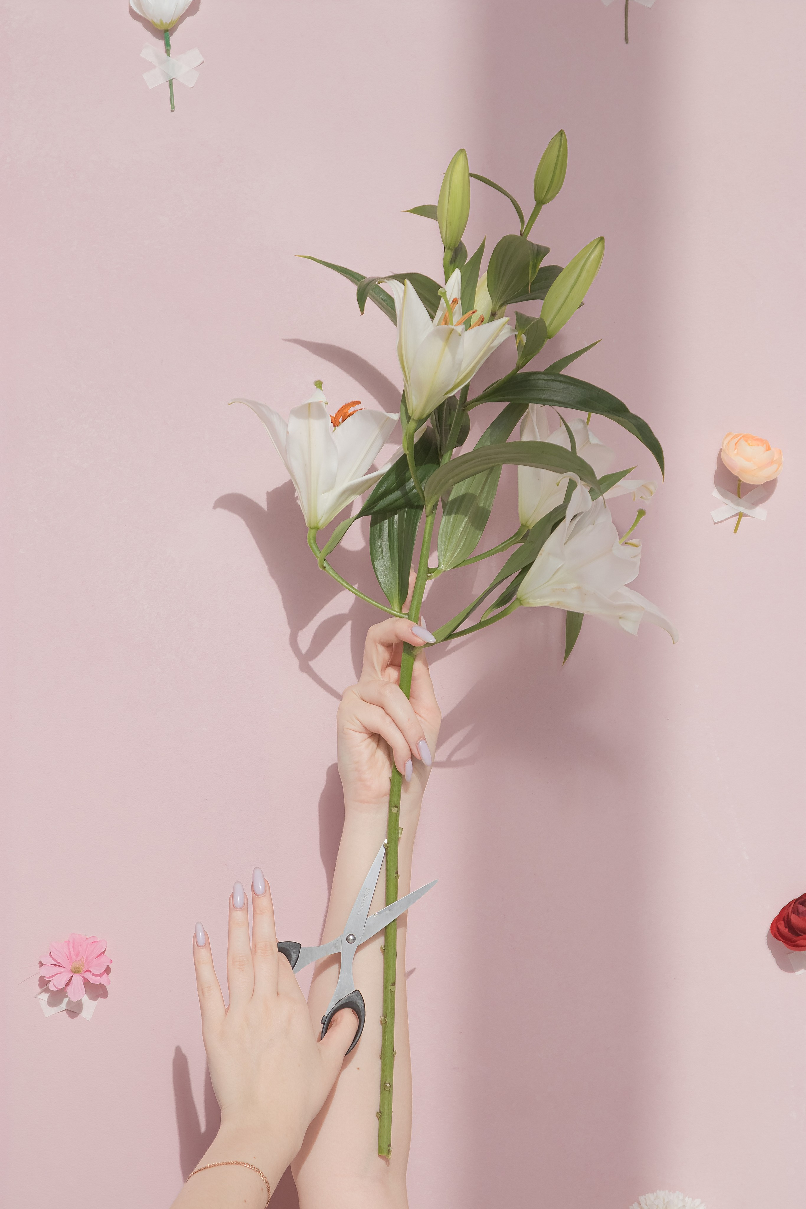 Александра. Портретный и пейзажный фотограф Никита Павлов