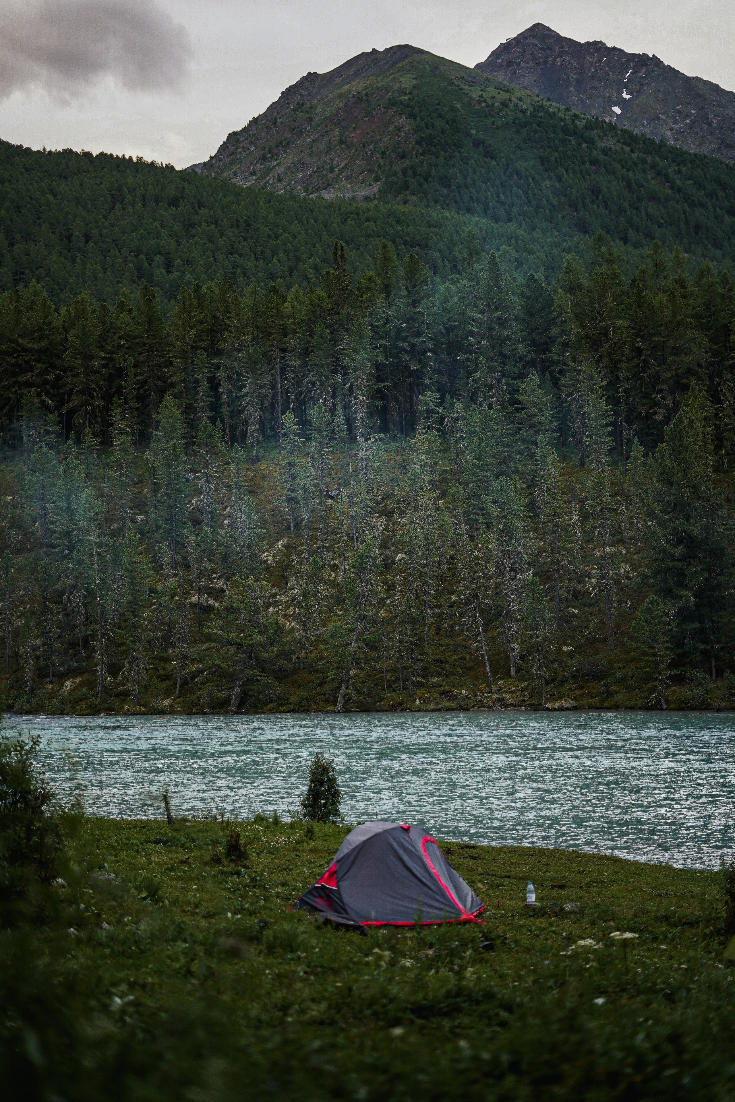 Алтай, поход к Белухе 2023. Фотограф Ольга Пучкова