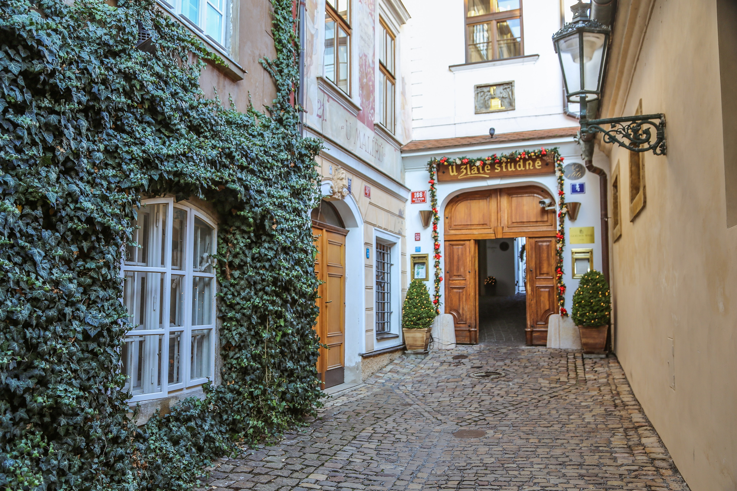 Чехия: Прага. Дарья Письменюк / Darya Leitstern — фотограф, музыкант, журналист, путешественник