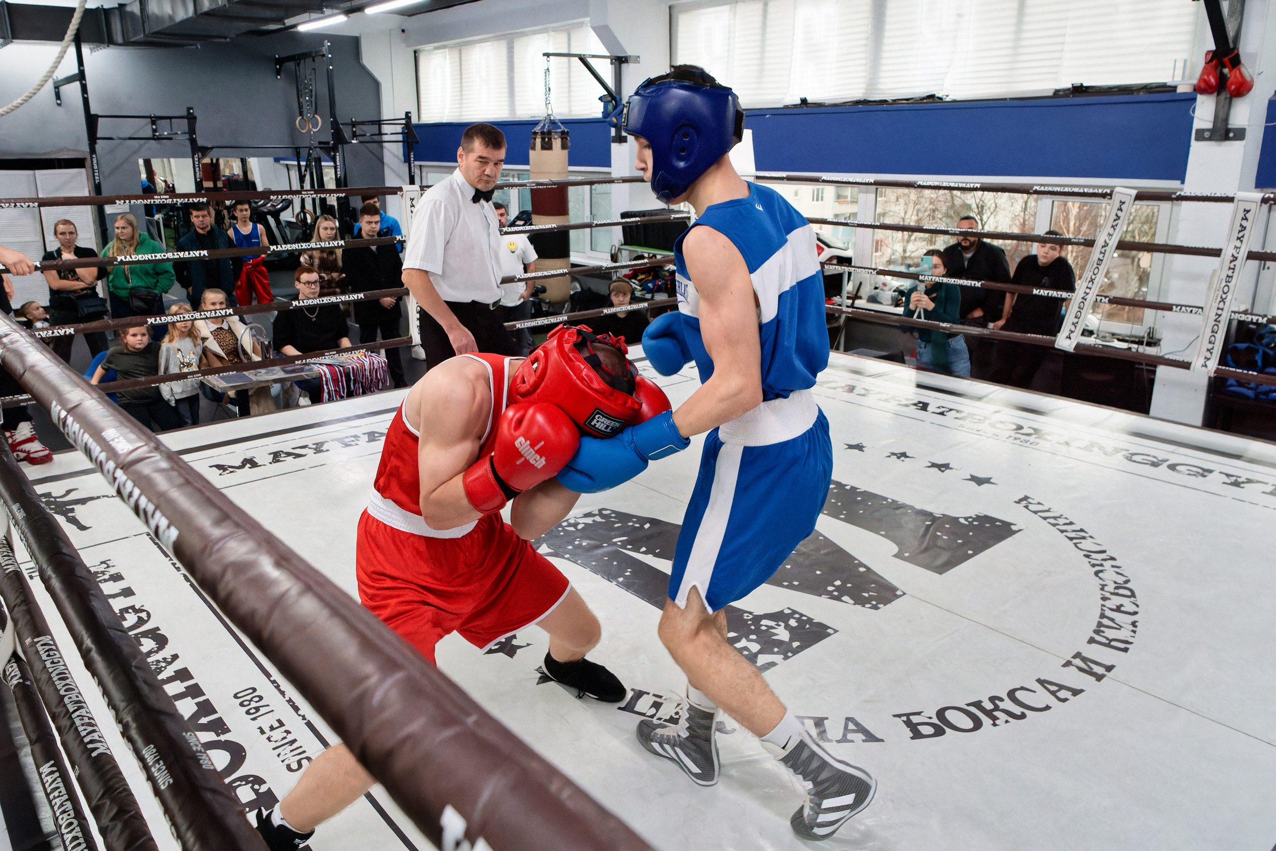 «Открытый ринг» в школе бокса Сергея Майфата. Зеленоград, 12.11.2023 г. Фотограф Никифоров-Гордеев Сергей. Москва и МО