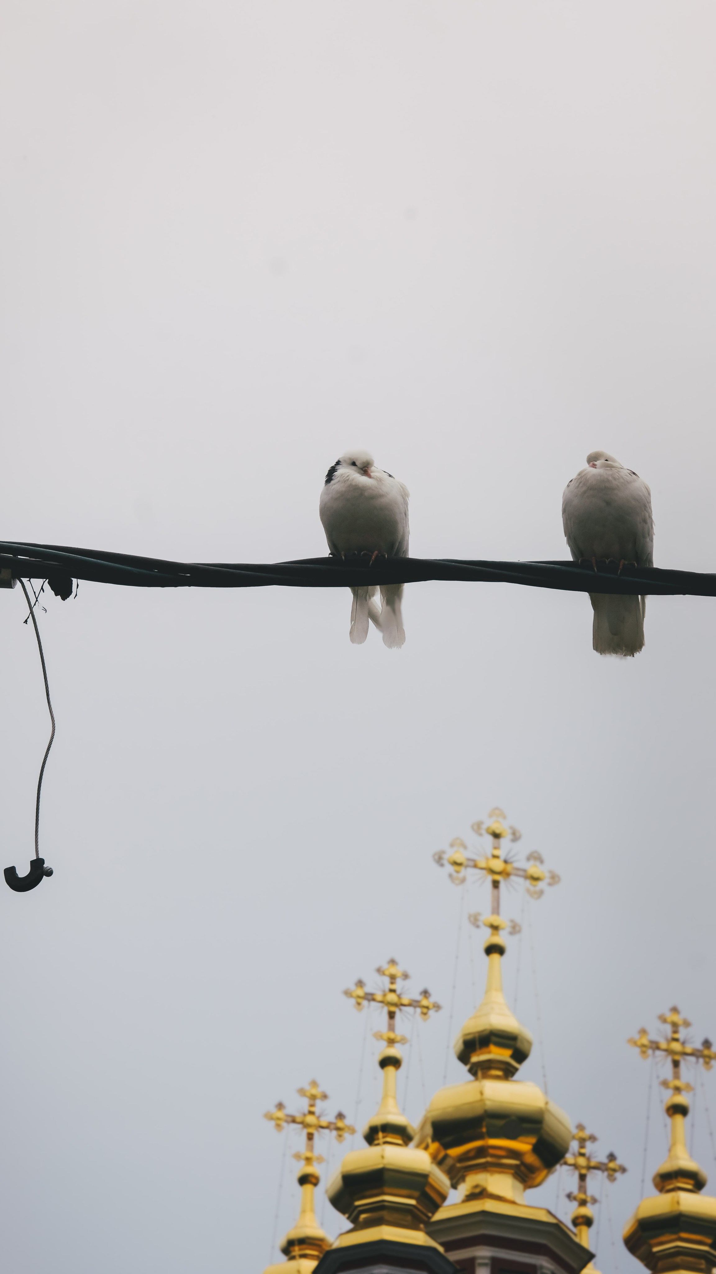 Город. KRUTOVA_фотографирую жизнь