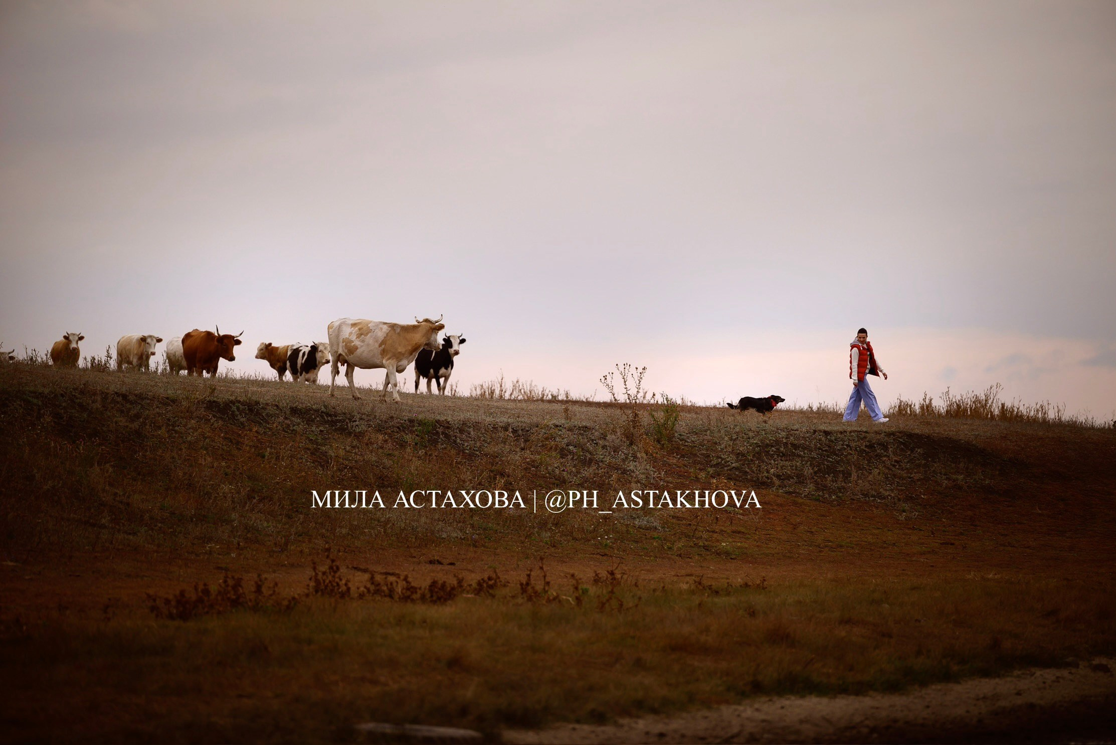 Милка и Ольга. Мила Астахова