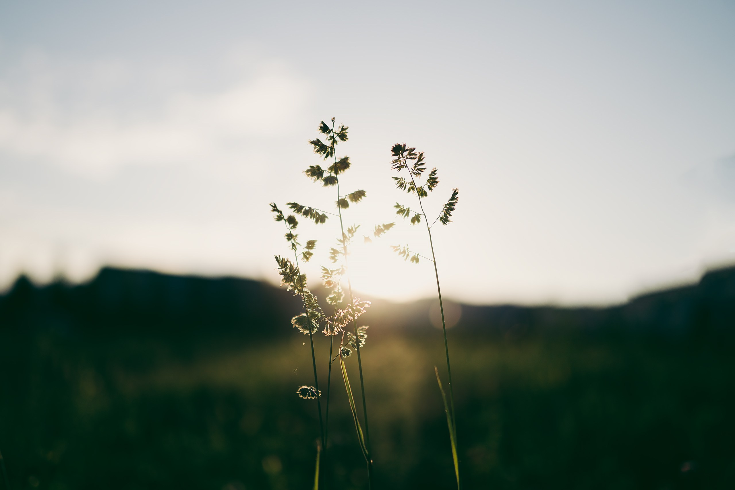 Прогулка на закате. Фотограф Владимир Орлов