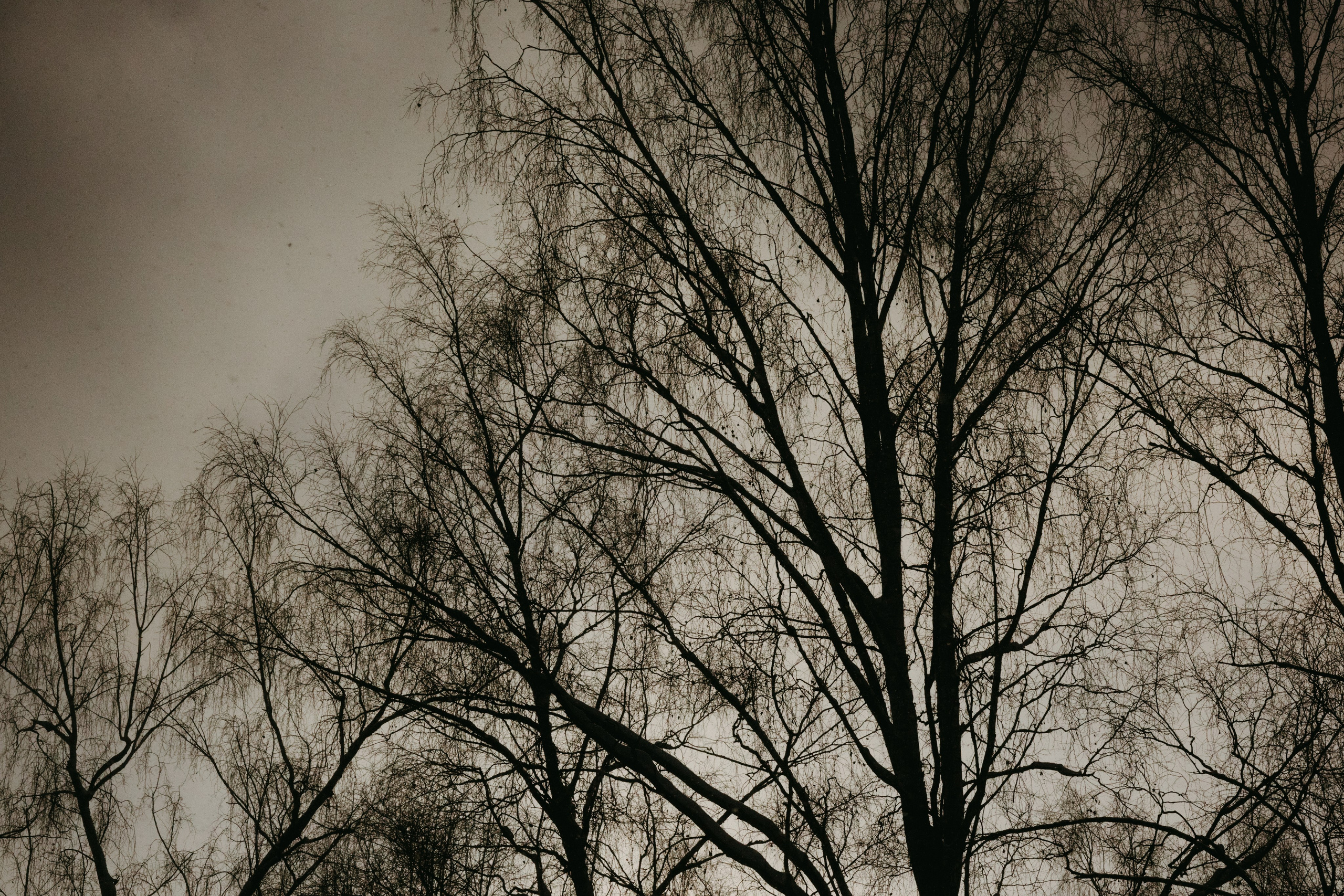 Виды из поезда. Фотограф Эльмира Лин