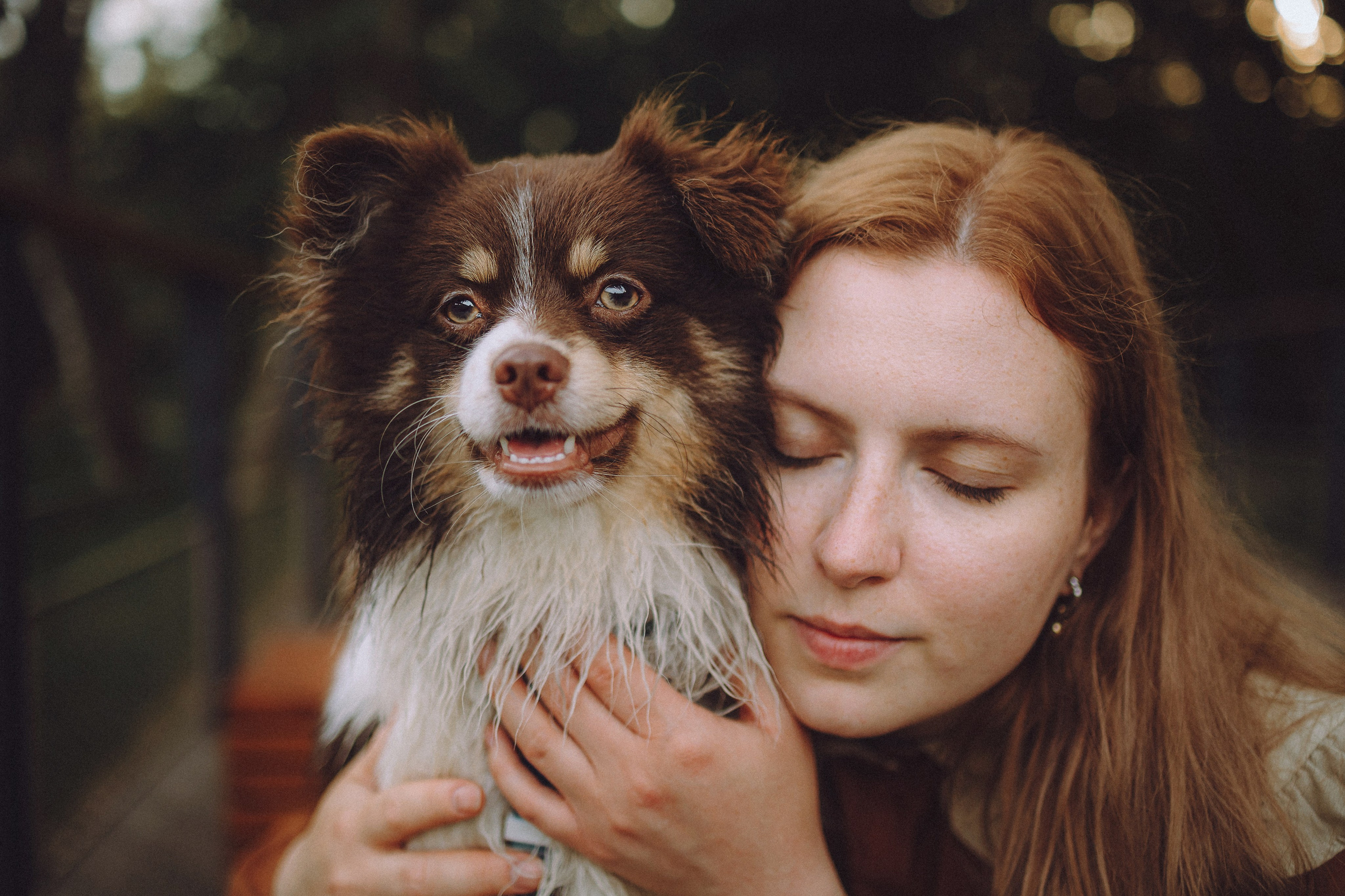 Фифа, Кнопка, Бублик и их семья