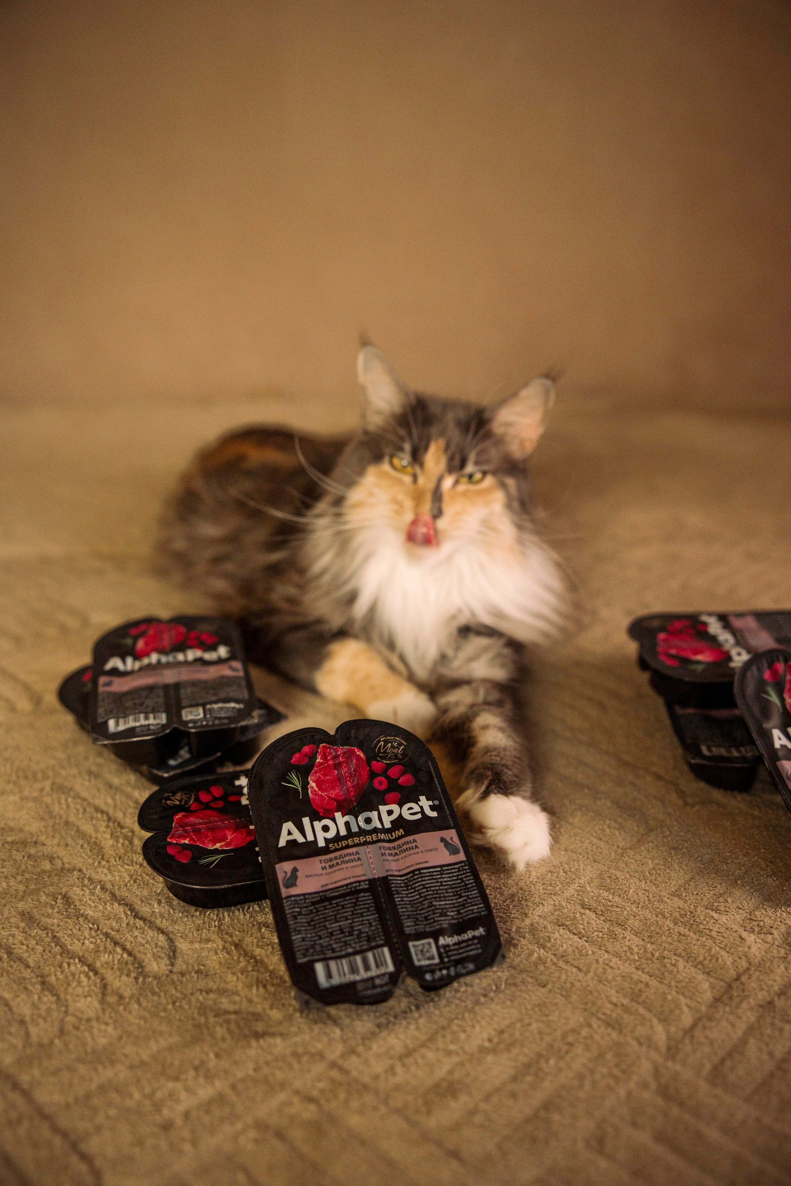 Корм AlphaPet. Анастасия Белаш