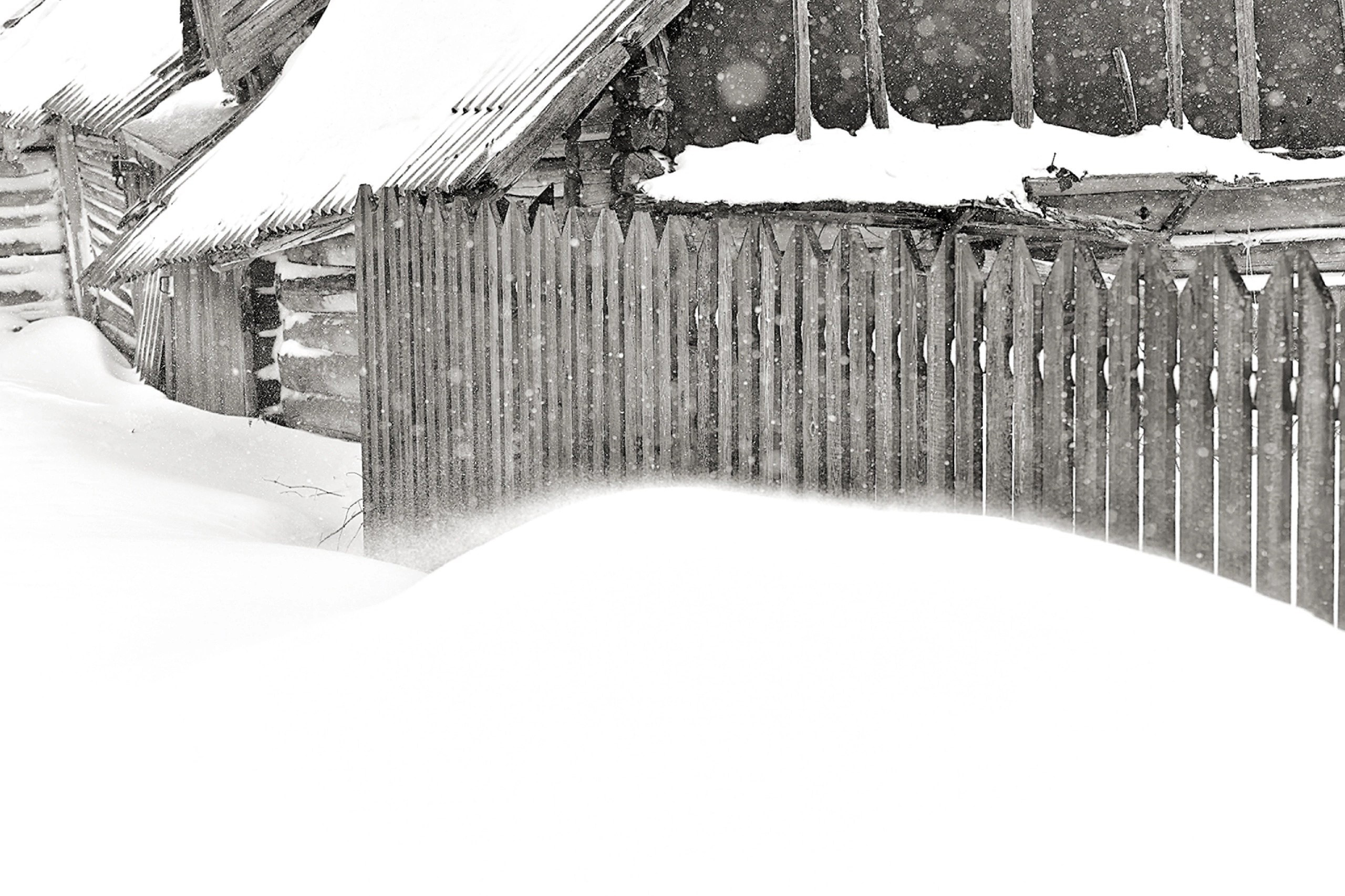 Ч.б. фотографии. Фотографии Лены Соколовой