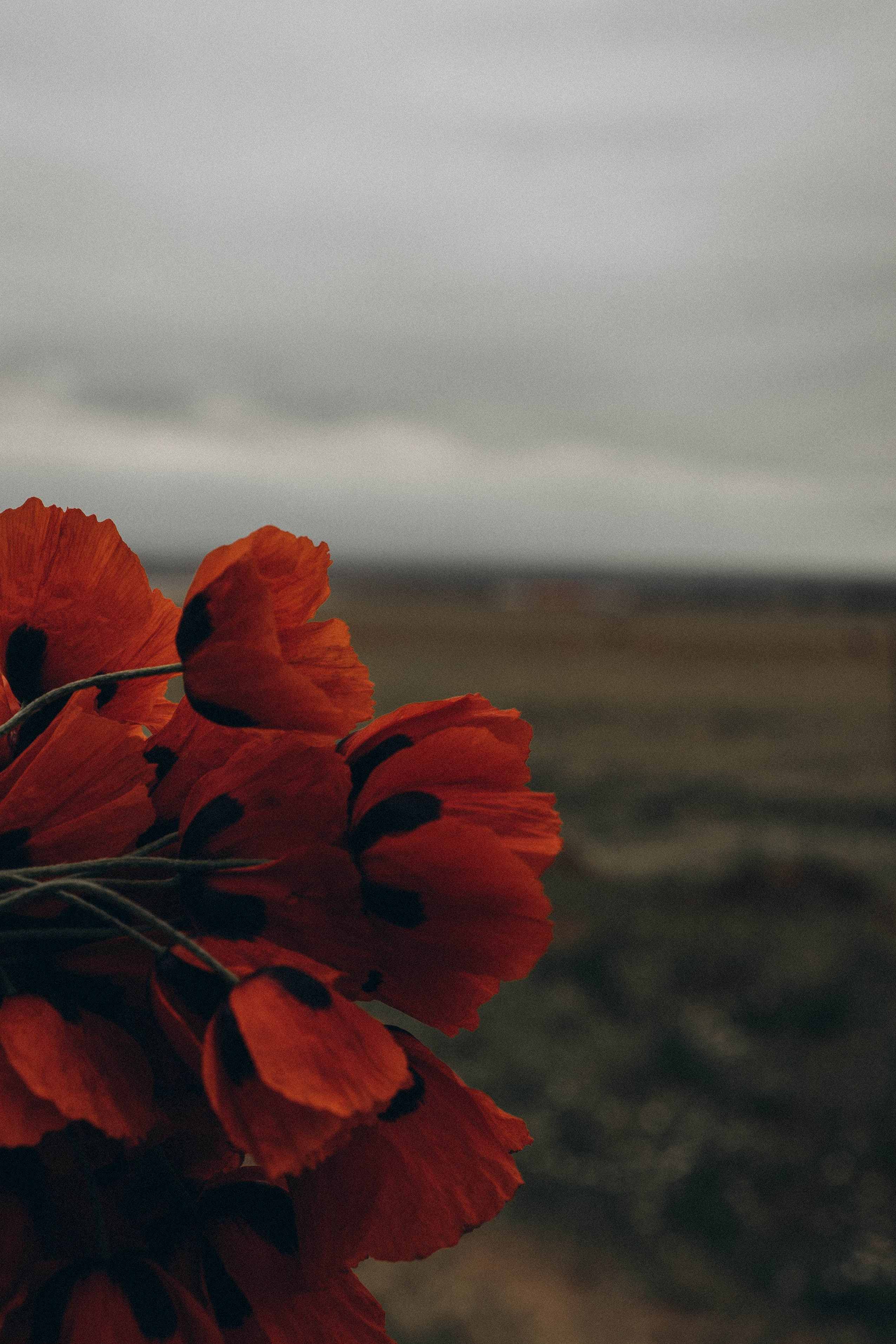 Путешествие в Дагестане. Профессиональный фотограф, Санкт-Петербург — Виктория Богомолова