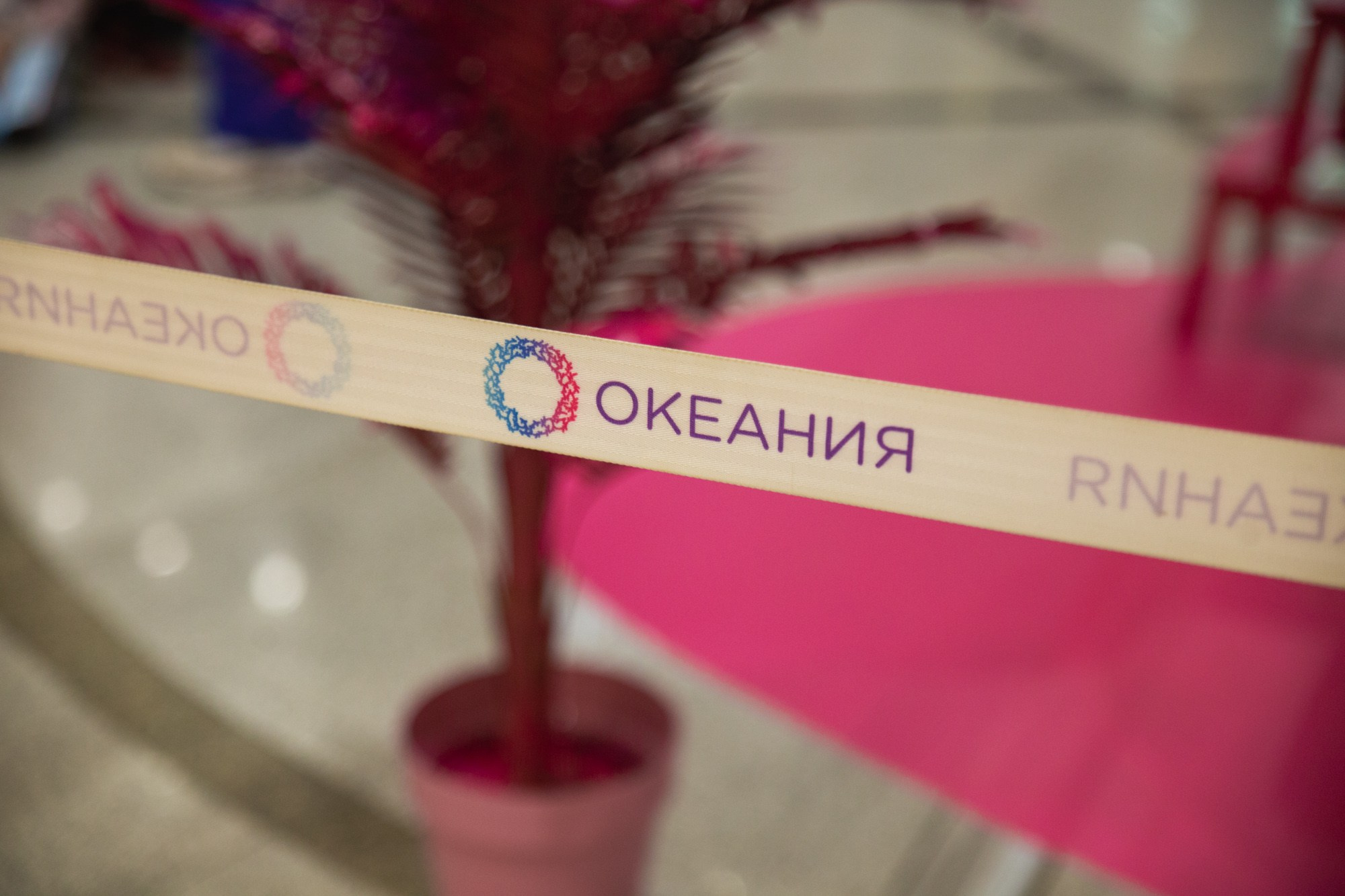 Сказка в ТЦ Океания. Репортажный и концертный фотограф в Москве Анастасия Осень