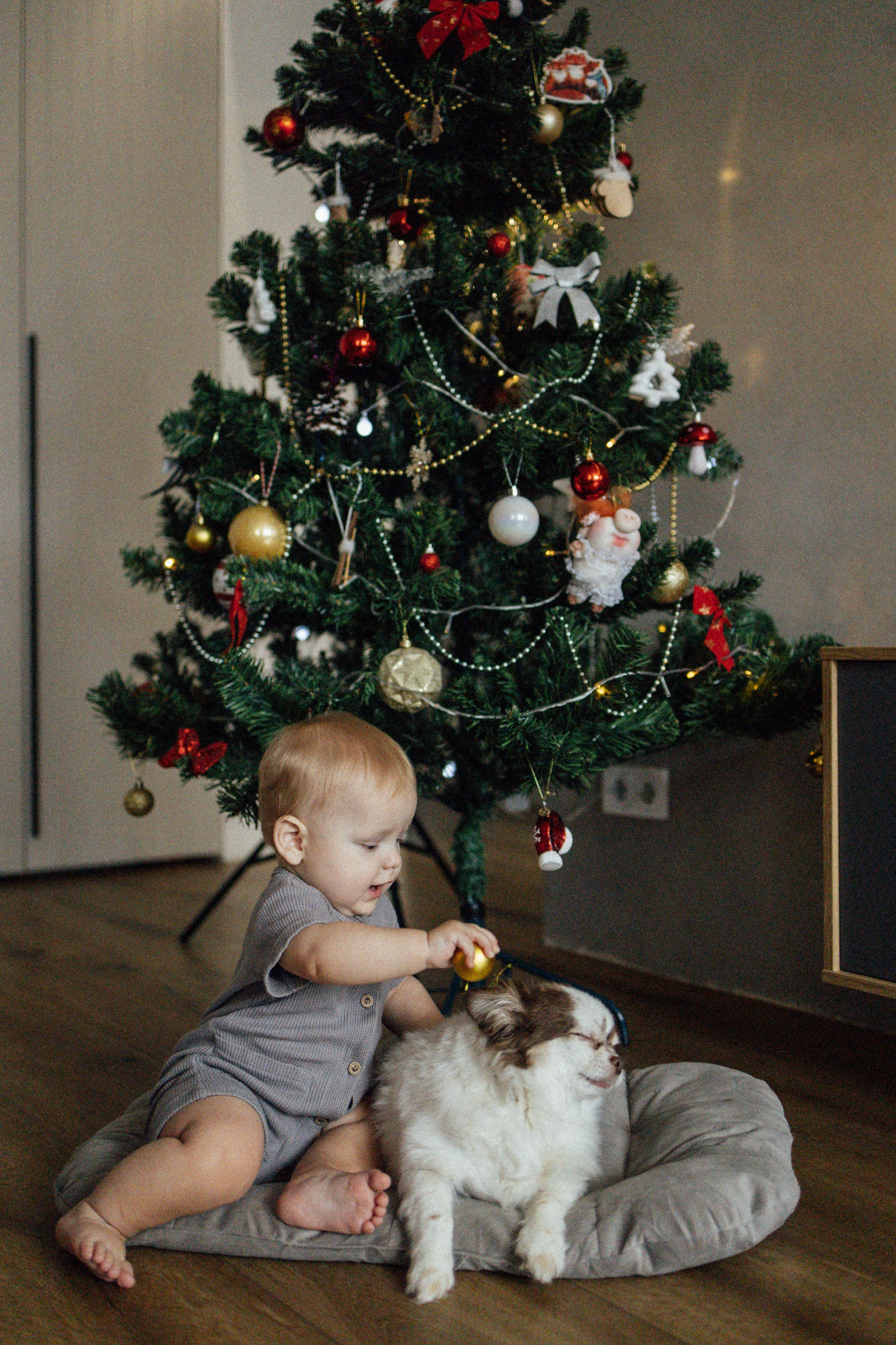 Таня + Миша + Саша + Варя + Семен и Гриша. Семейный фотограф Елена Баган Волгоград